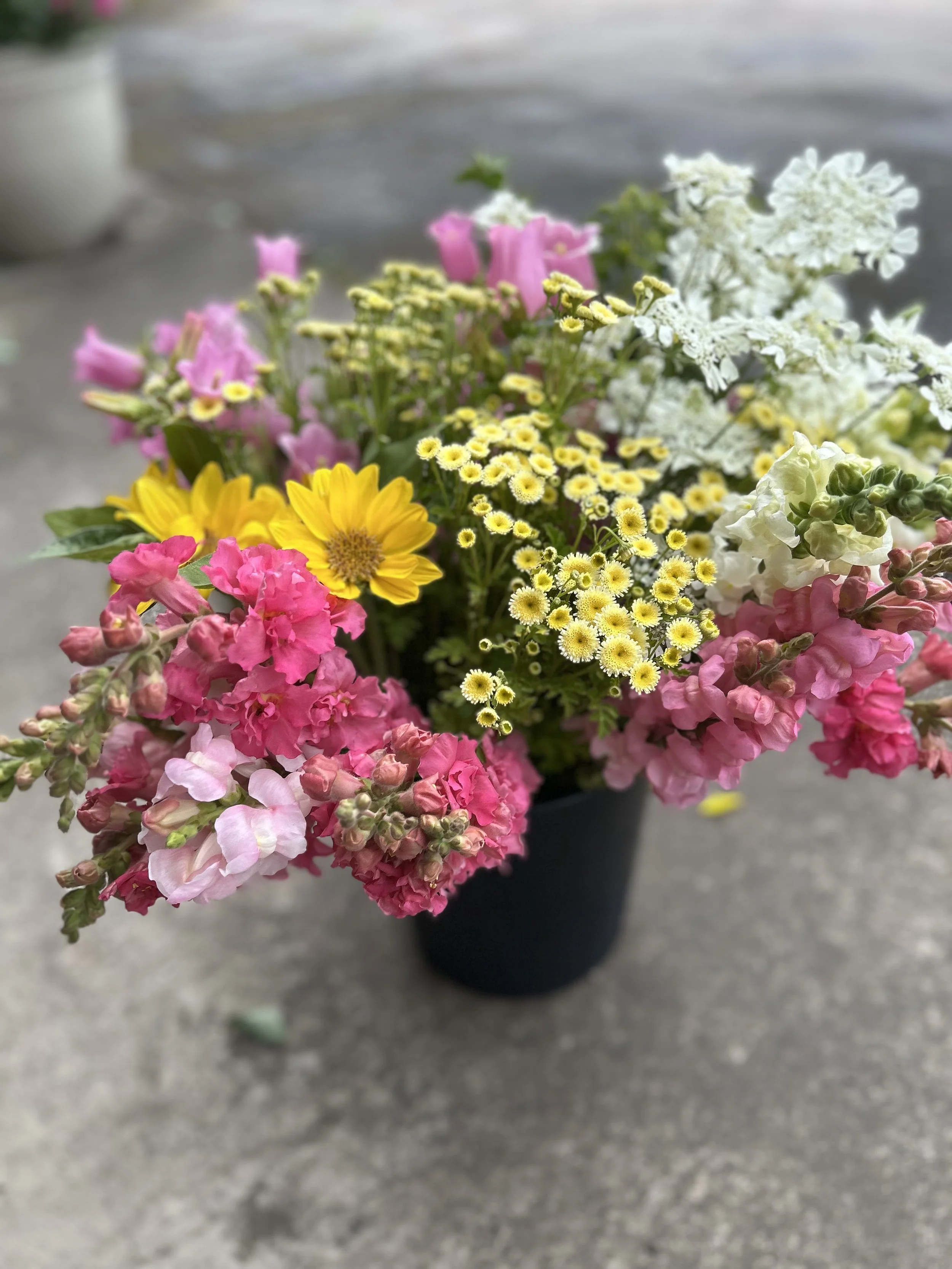 DIY Flower Stem Count Guide