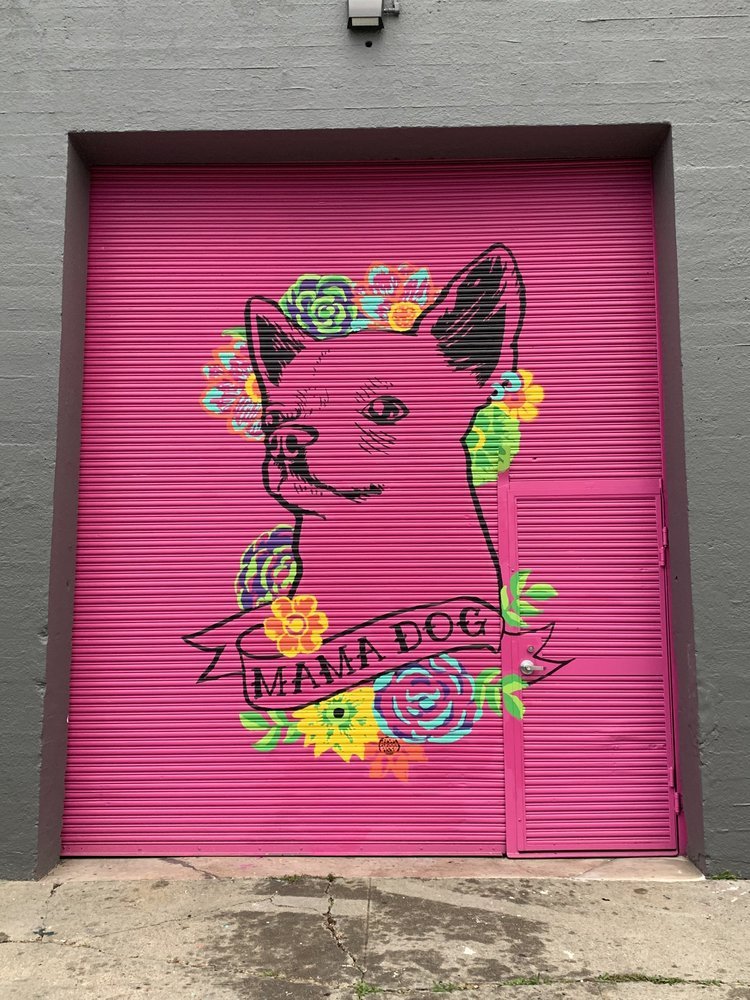 Mama+Dog+Studios+Mural+Chihuahua+Frida+Kahlo+Flowers+color.jpeg