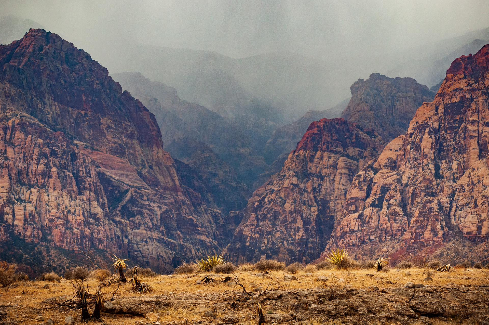 PC Andrew Kornylak 1.png