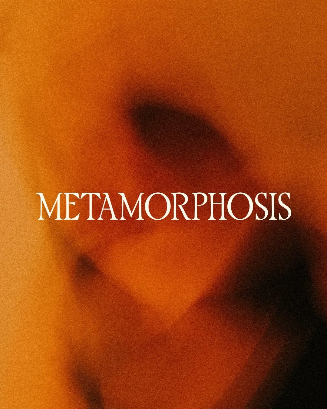 Where grunge meets editorial and we&rsquo;re lovinggg it 🦋

Love when clients want something fresh and new with their branding - it feels like we get to play again and i love that feeling 🧵

Metamorphosis brand refresh for @itskrista under @chloele