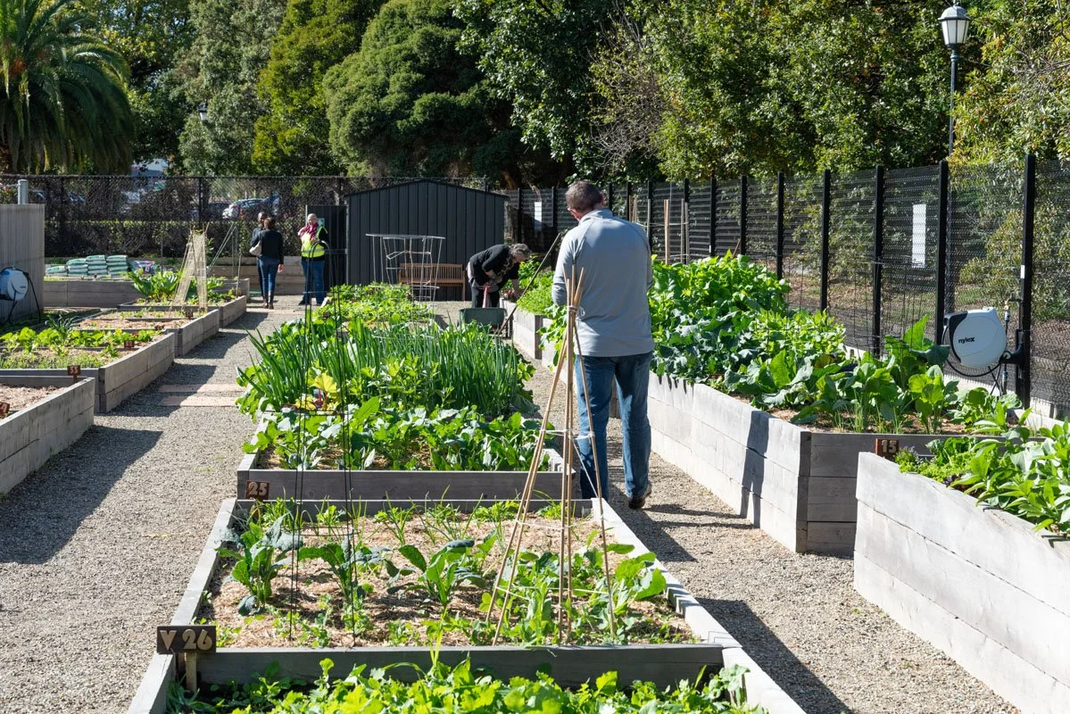 CCP Open Day May 2024_D1B6073.jpg