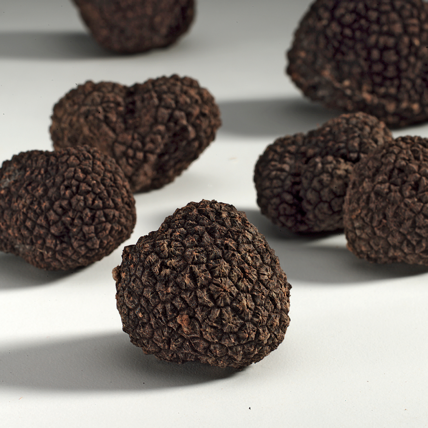 Garden Talk: Tom Eadie - Truffles