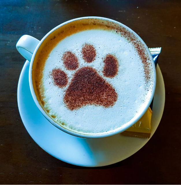 Pups &amp; Cups