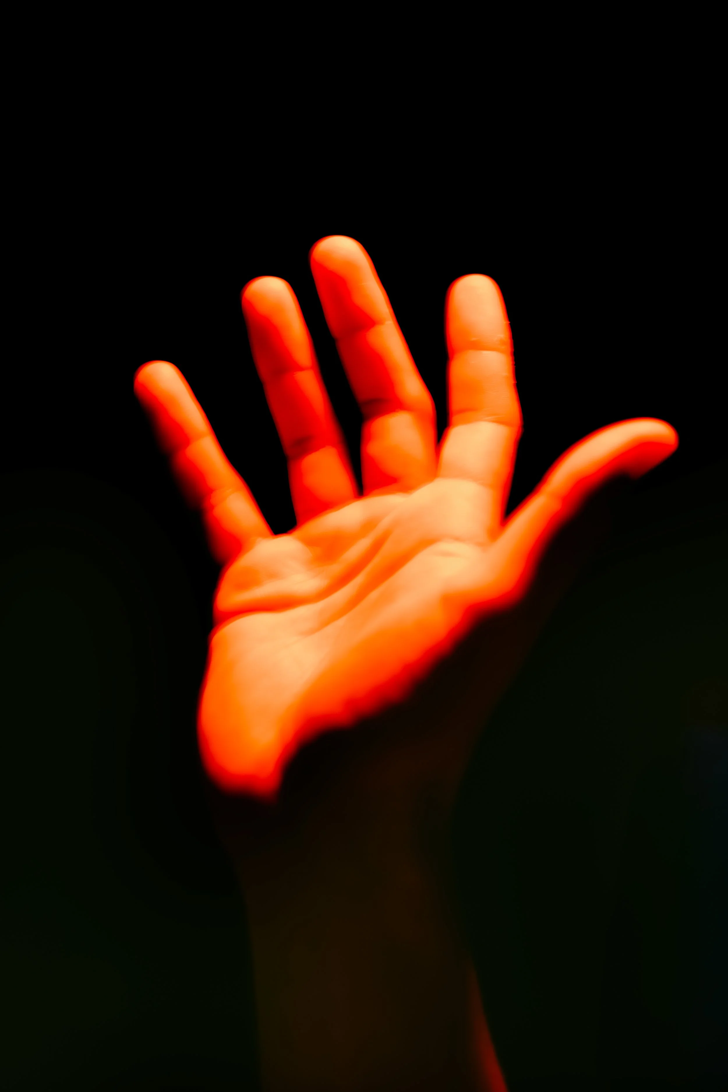 556A7402 REUBEN JAMES by JESAJA HIZKIA 2024.JPG