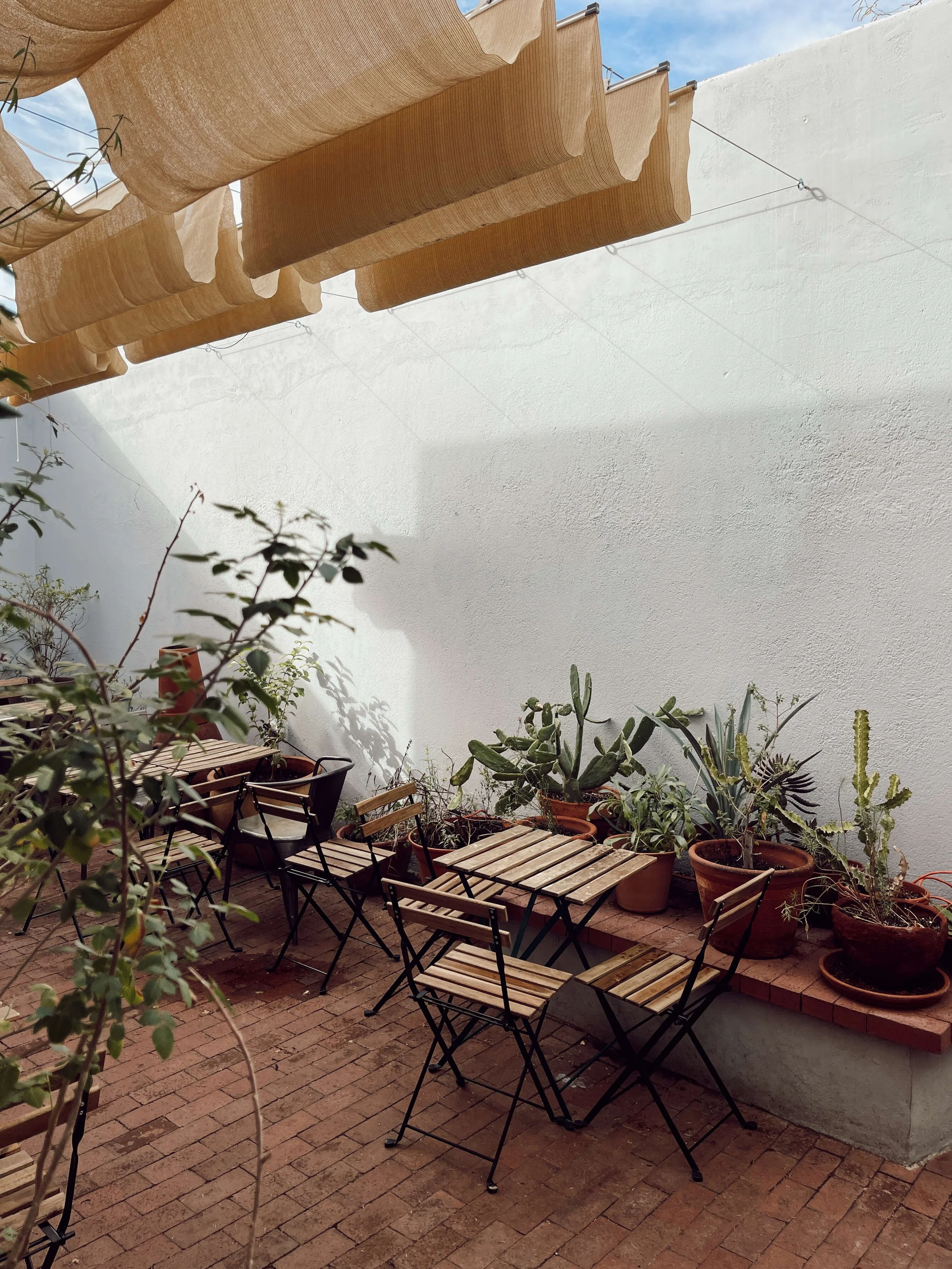 ExoRoastCo2-CoffeeShop-Tucson-Arizona.JPG