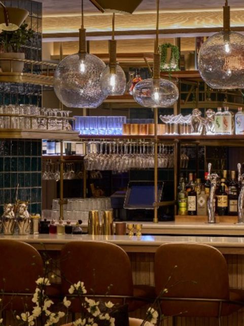 PandanViceroyChicago-Restaurant-Bar-Chicago-Illinois6.png