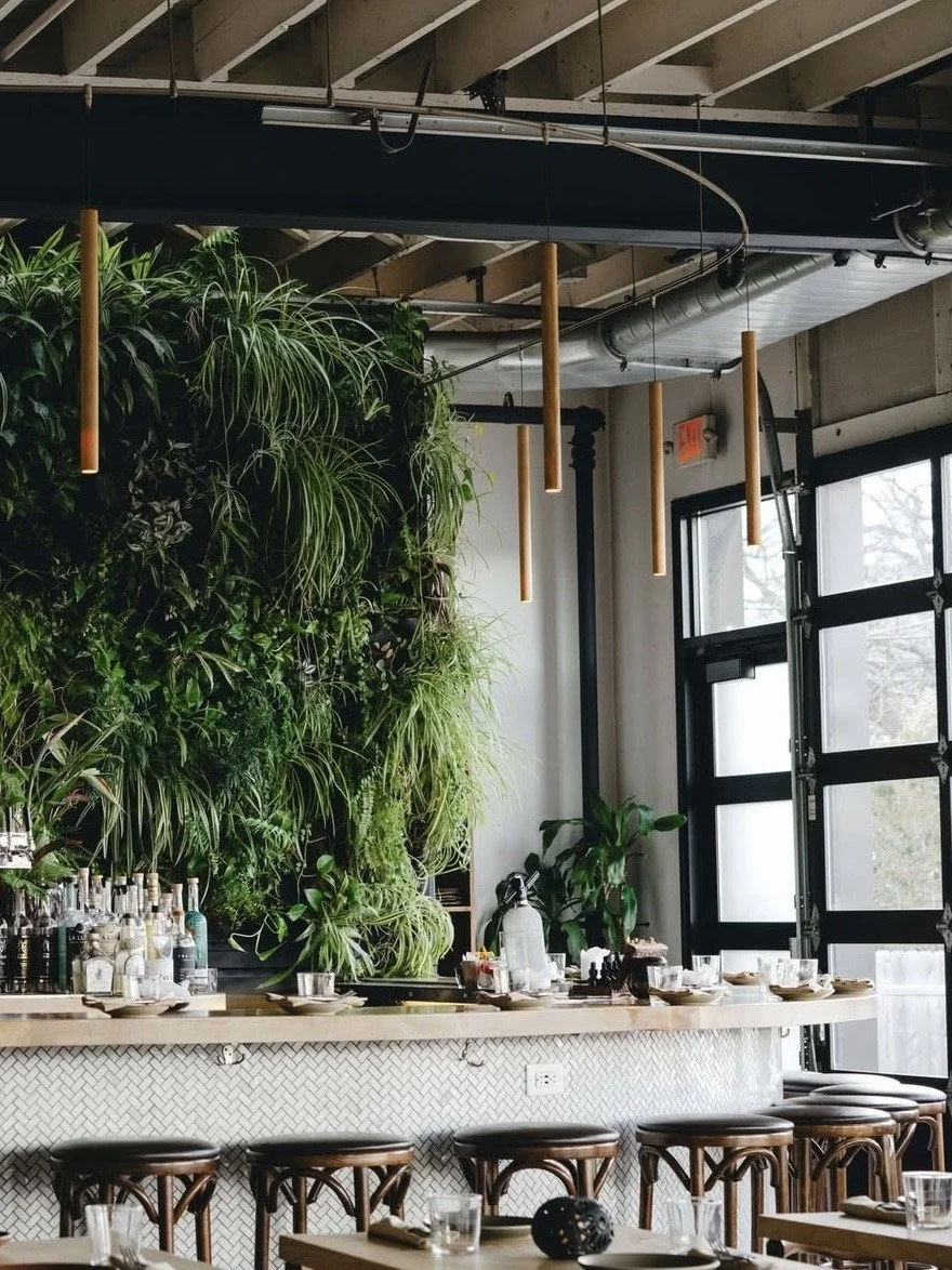 Colita-Restaurant-Bar-Minneapolis-Minnesota 9.jpg