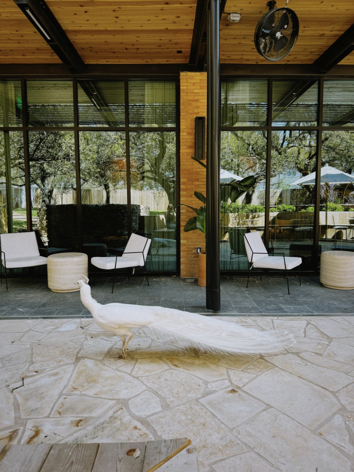 The Inn at Green Pastures