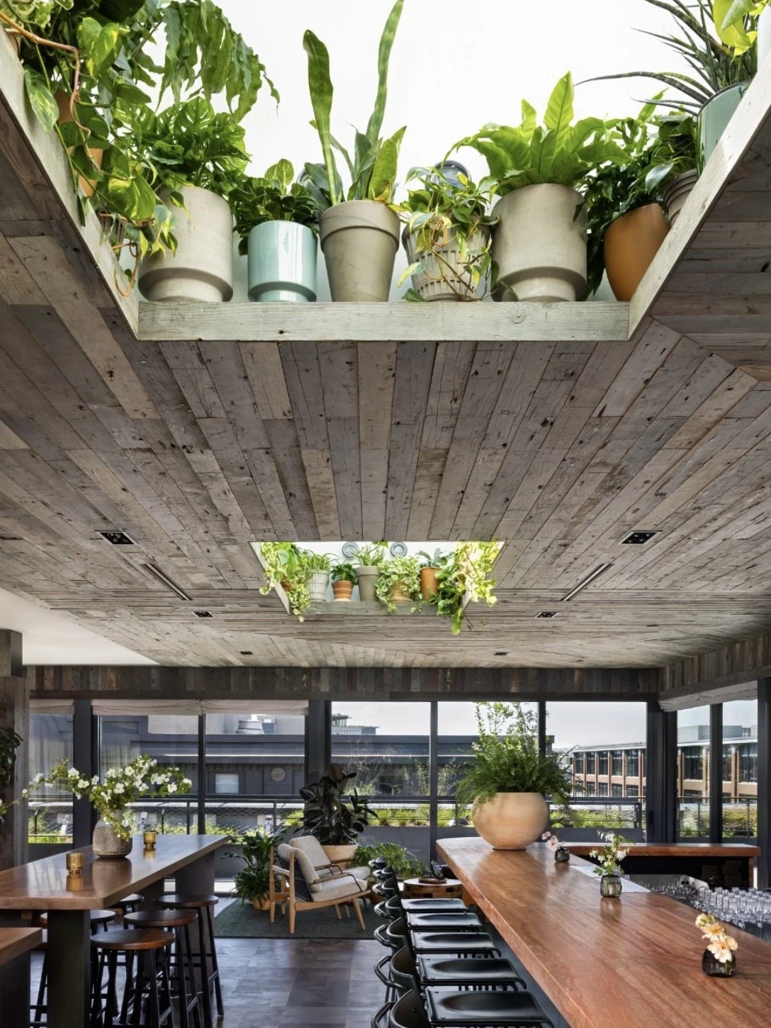 FirnPopulusSeattle-Bar-Seattle-Washington 1.jpg