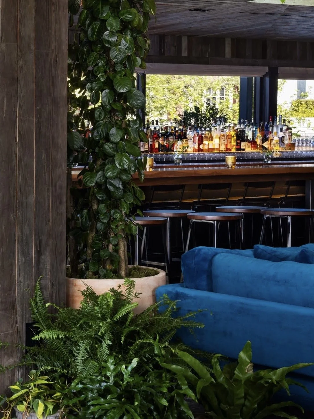 FirnPopulusSeattle-Bar-Seattle-Washington 6.jpg