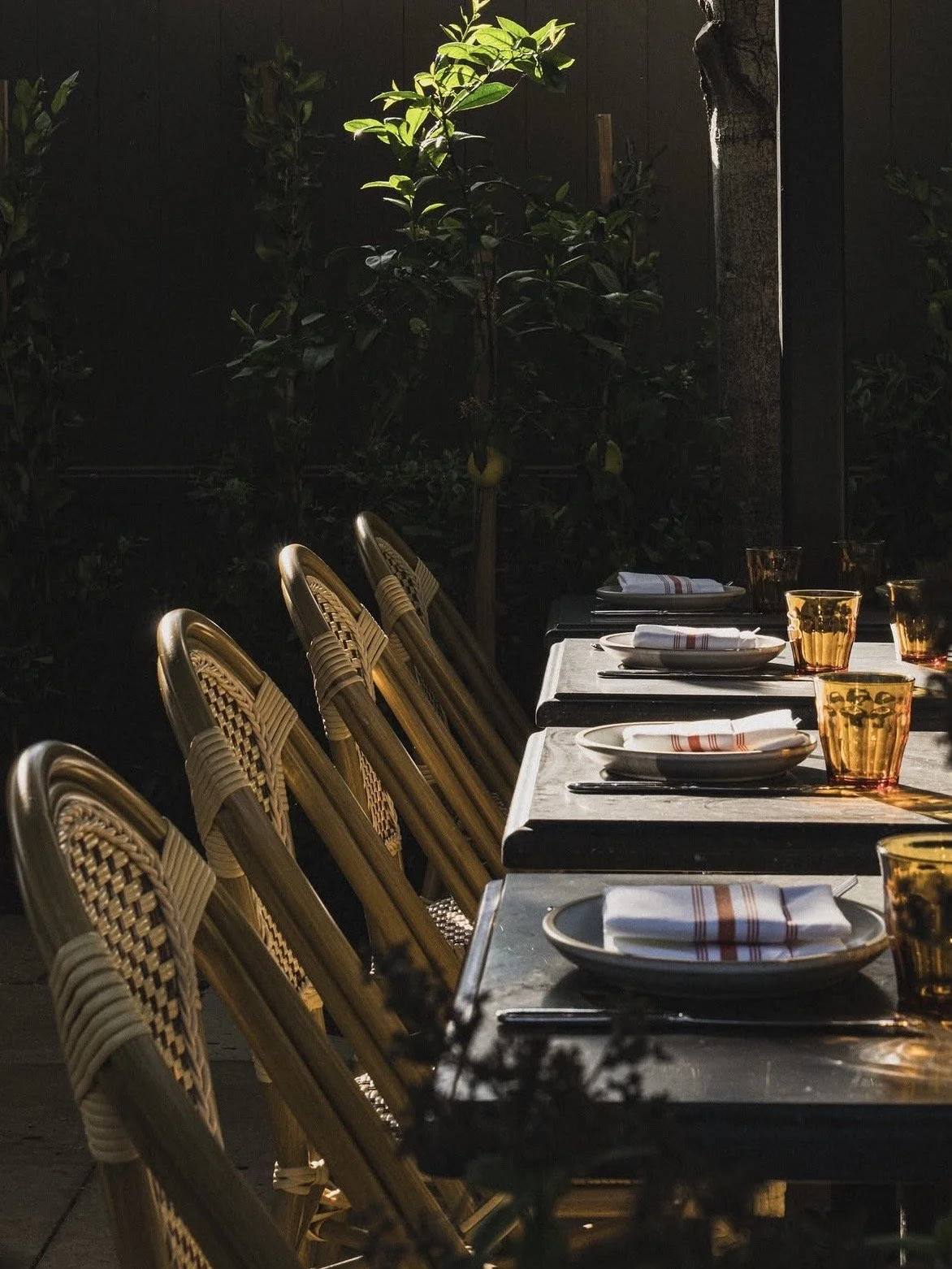 Monte's-Restaurant-Bar-SantaBarbara-California 3.jpg