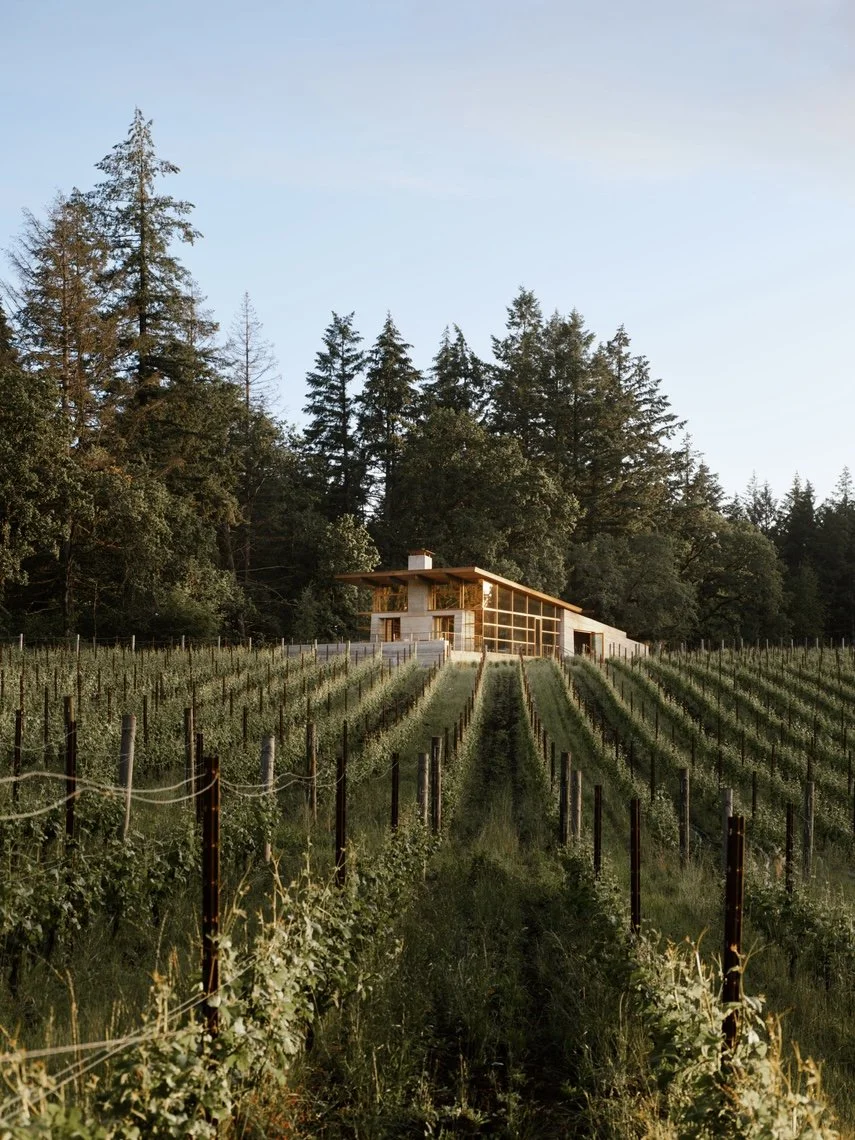 RodeoHills-Winery-Dundee-Oregon 10.jpg