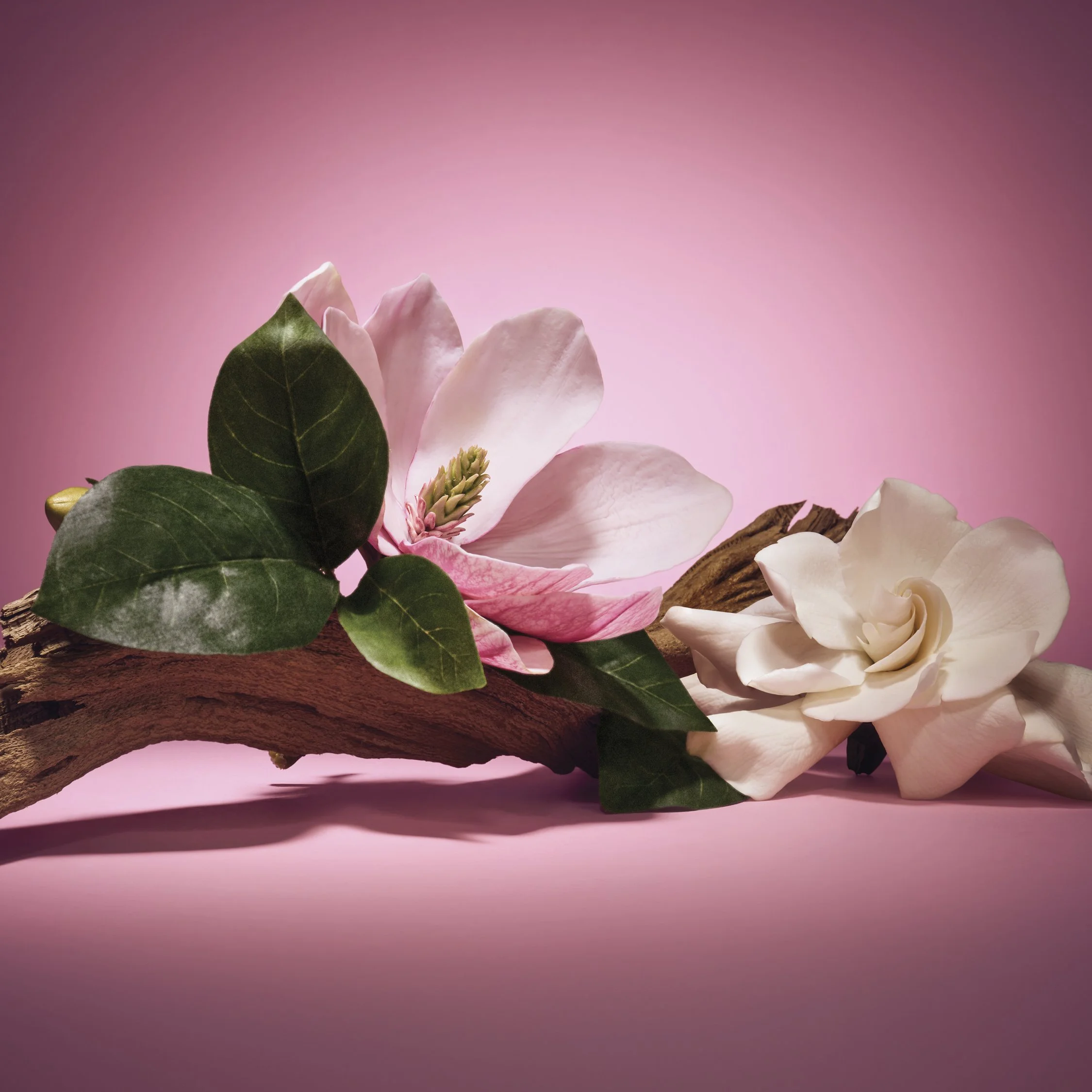 FL25_DIGITAL_Magnolia_Fleur_Ingredient_Stills_1080x1080.jpg