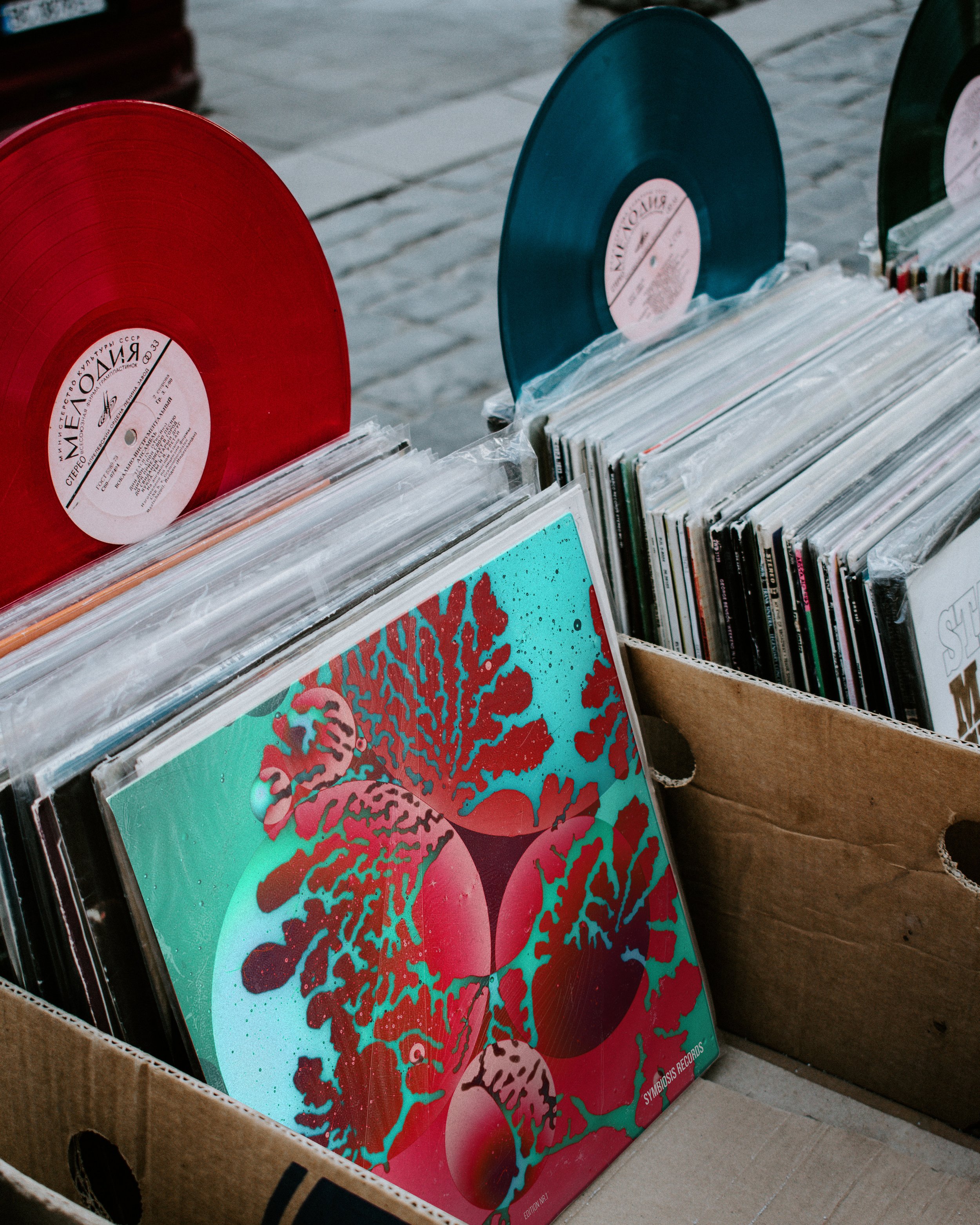 Liana Samira Justus_Vinyl_Mockup_09.jpg