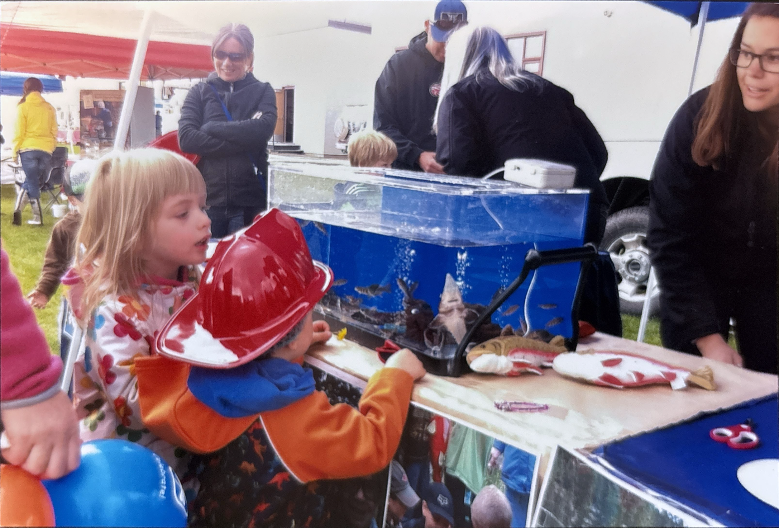 2014- trout hatchery.png