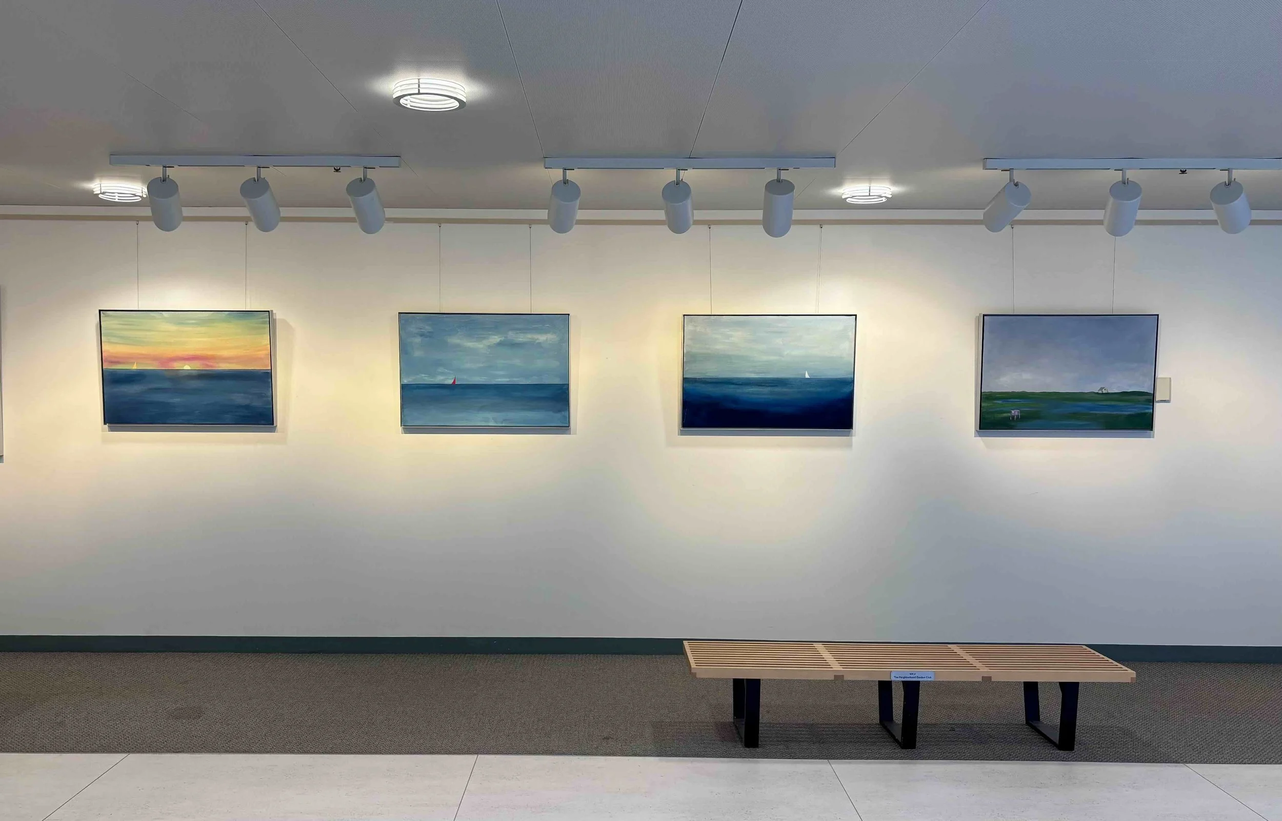 solo show at dolphin gallery at library.jpeg