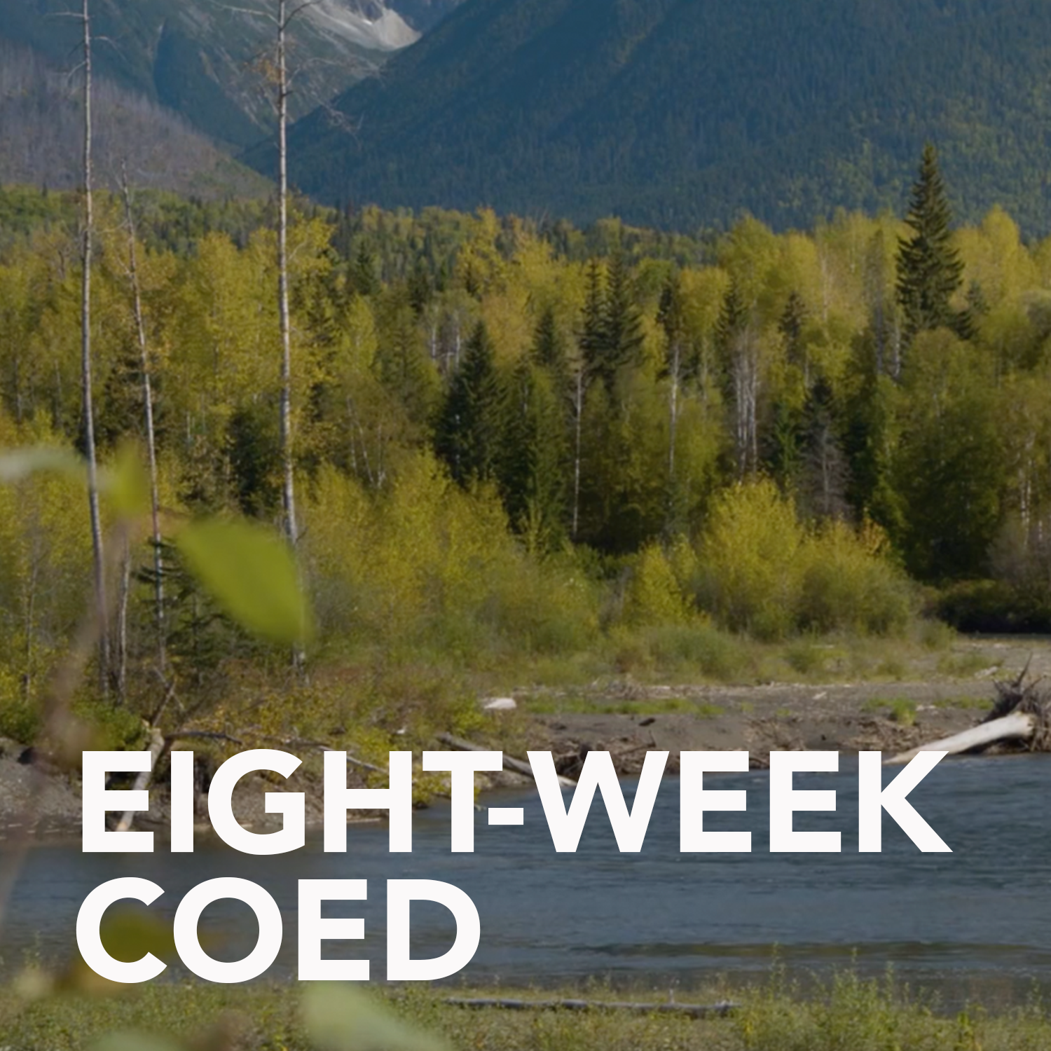 8 Week Co-ed Program