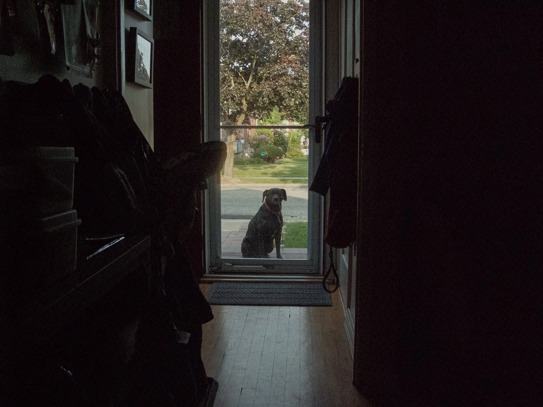 Placemaking and The Camera