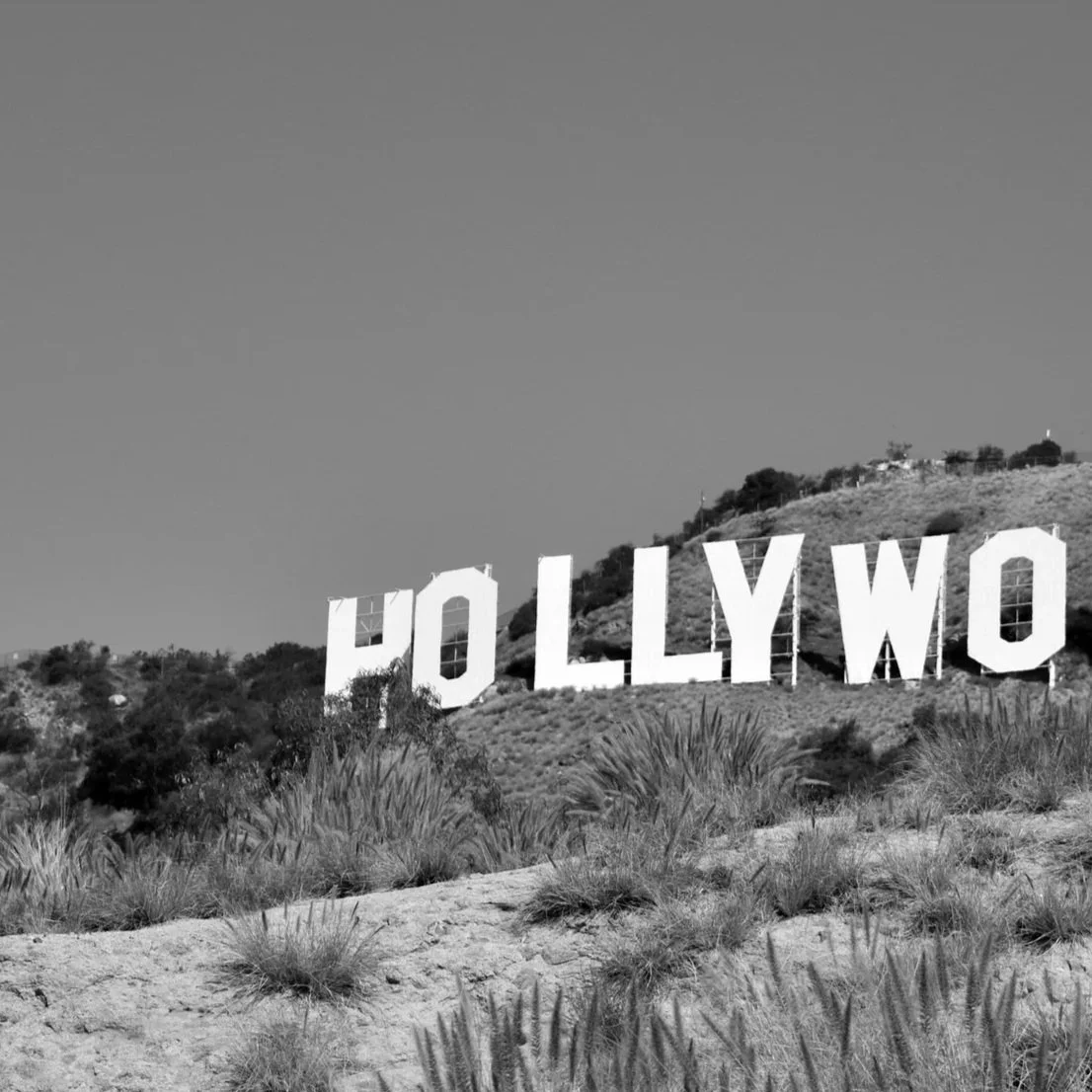 JHB_5470---Hollywood---12-x-24---BORDER.jpg
