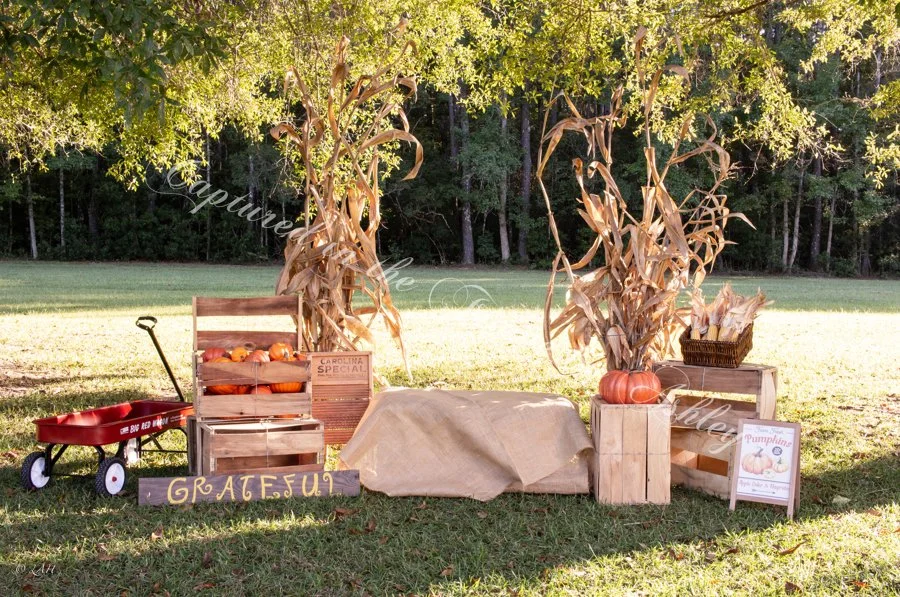 Pumpkins_Capturedintheframebyashley_3.jpg