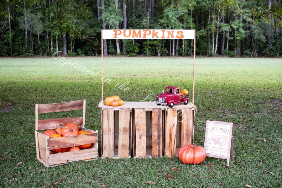Pumpkins_Capturedintheframebyashley_2.jpg