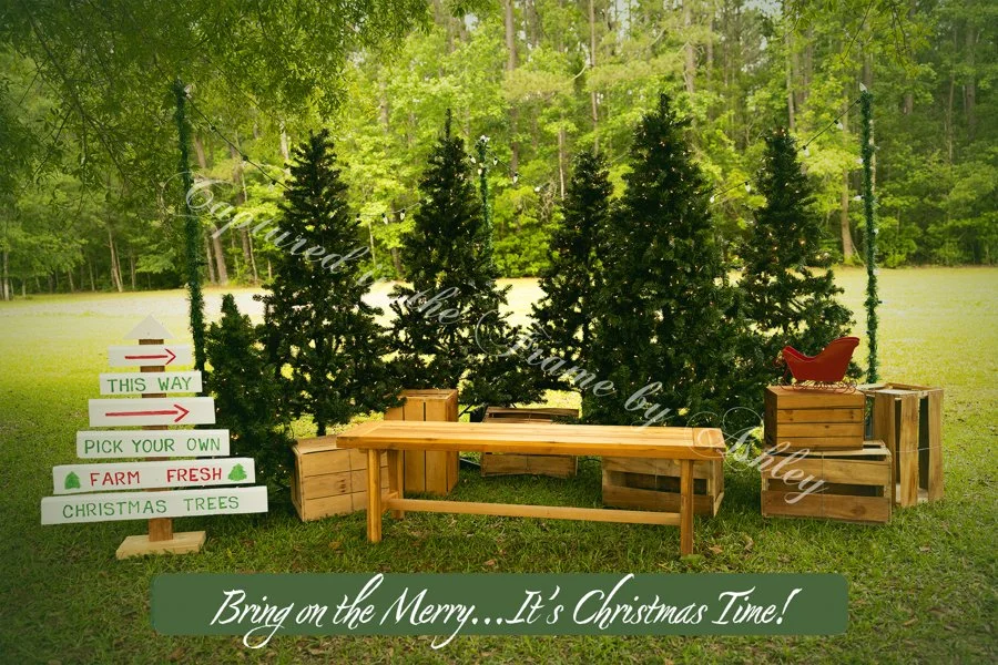 Christmas Ad 2_Captured inthe Frame by Ashley.jpg