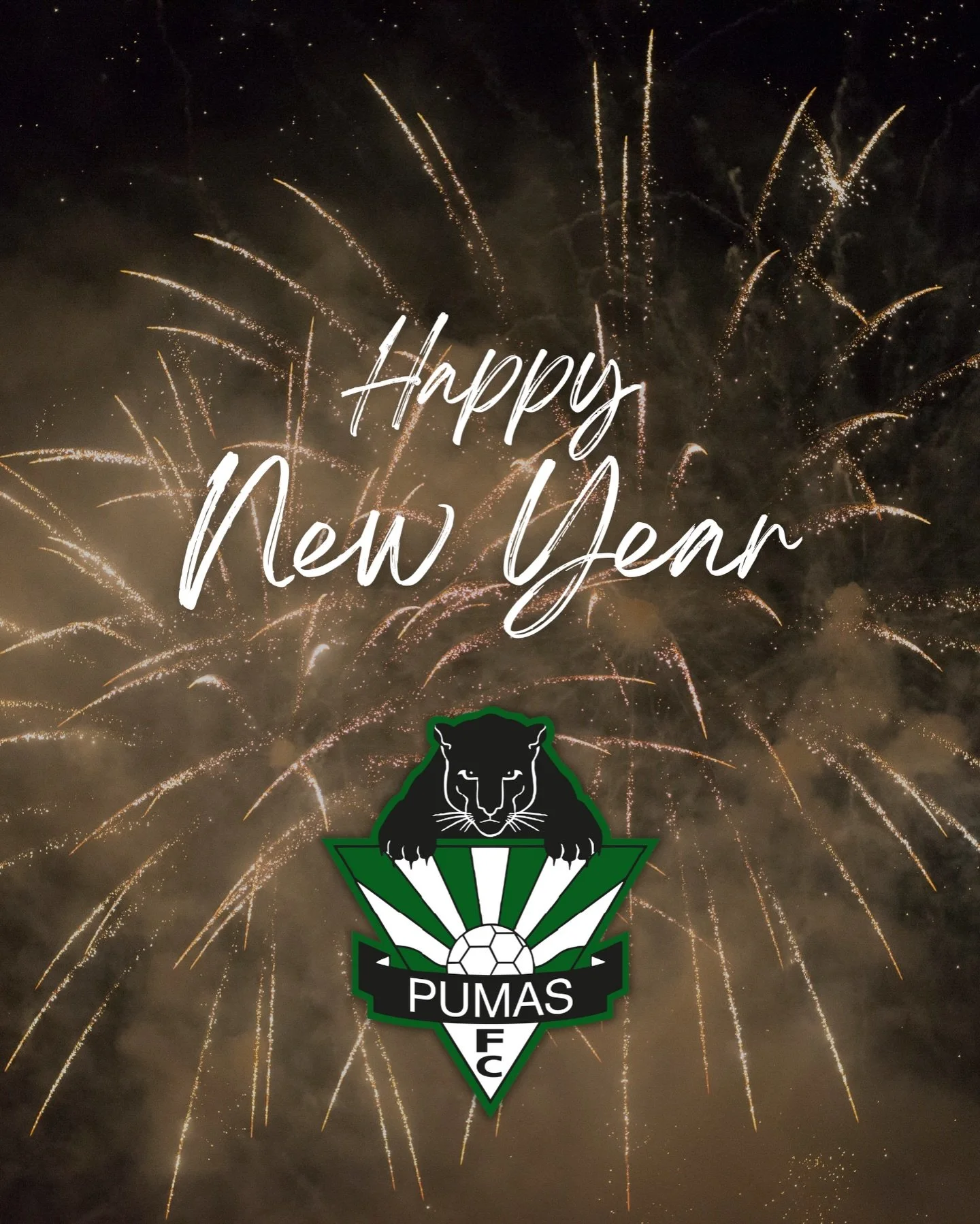 🎉 Happy New Year from the Hills Pumas Football Club! 🐾⚽

As we welcome the New Year, everyone at Hills Pumas Football Club would like to thank our players, families, coaches, volunteers and supporters for an incredible year 👏

We hope 2026 brings 