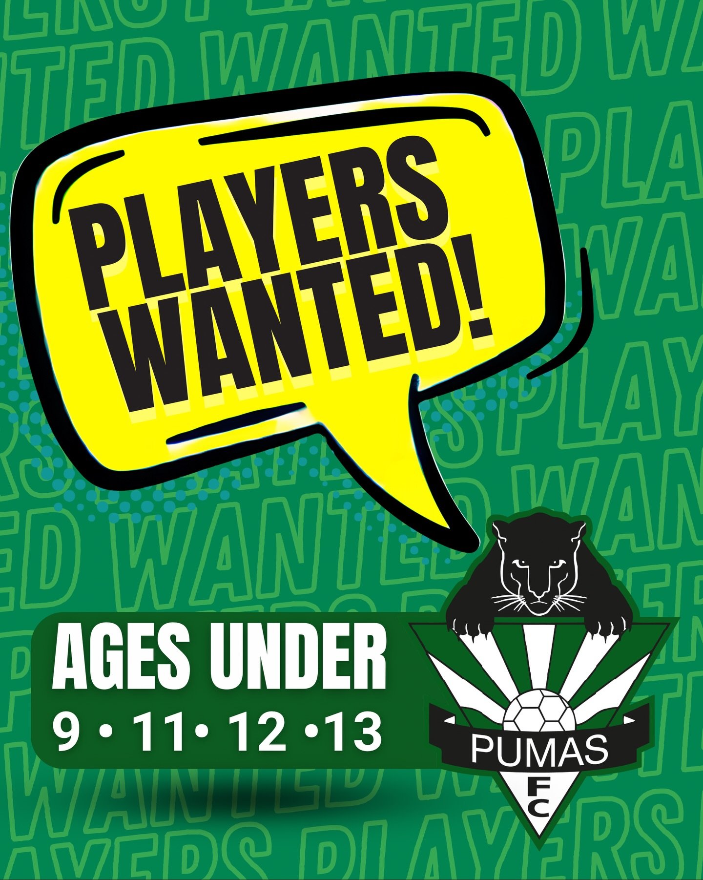 Player Vacancies are still available across the following ages groups:

⚽️ Under 9 (DOB 2017)
⚽️ Under 11 (DOB 2015)
⚽️ Under 12 (DOB 2014)
⚽️ Under 13 (DOB 2013)

If you are interested in joining the Hills Pumas for 2026 season and your age group is