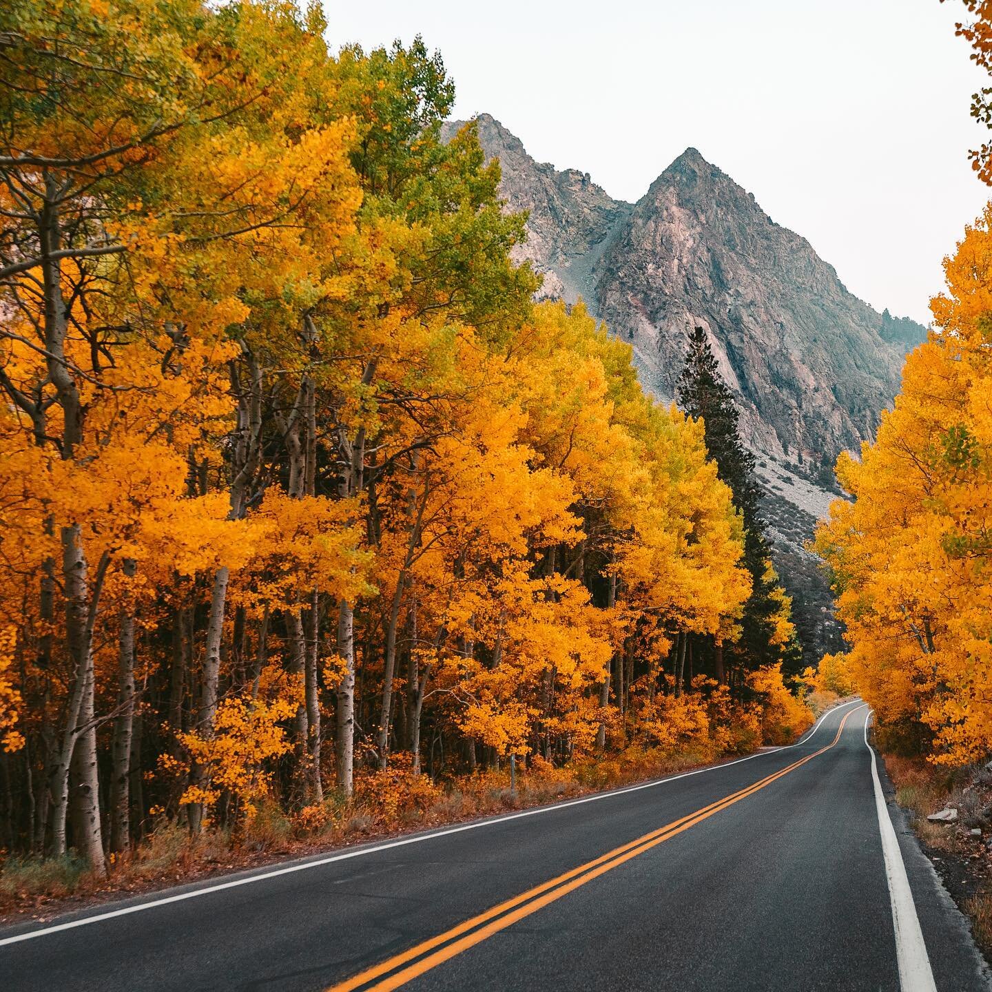 Summer is here, which means Fall is next 🍂🍁

What is your favorite season? ☀️🍁❄️🌷