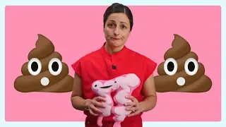 ANAL INCONTINENCE: CAUSES, HOW POOPING WORKS, AND HOW PELVIC FLOOR THERAPY HELPS