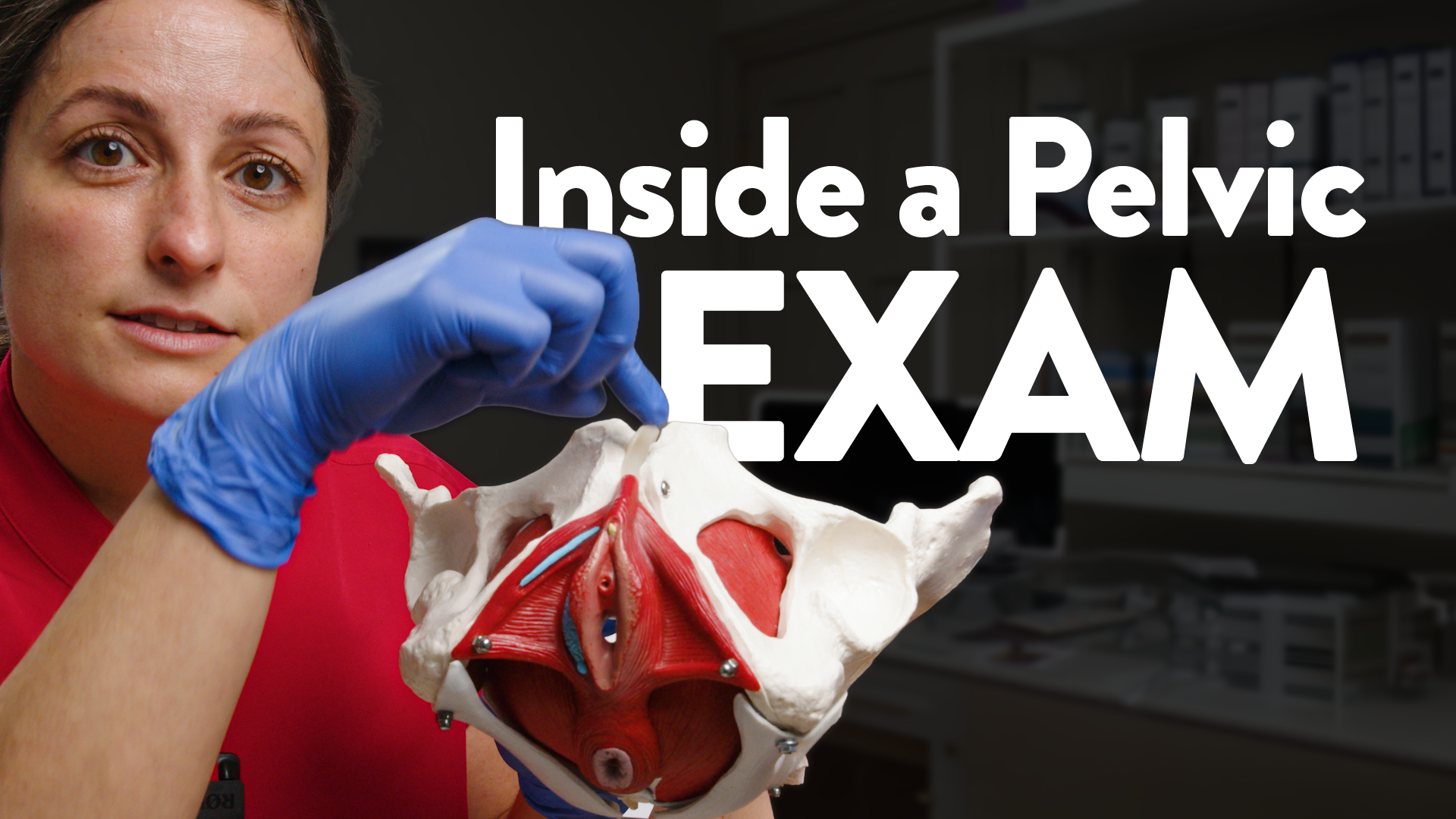 WHAT HAPPENS DURING A FEMALE PELVIC FLOOR MUSCLE EXAM?