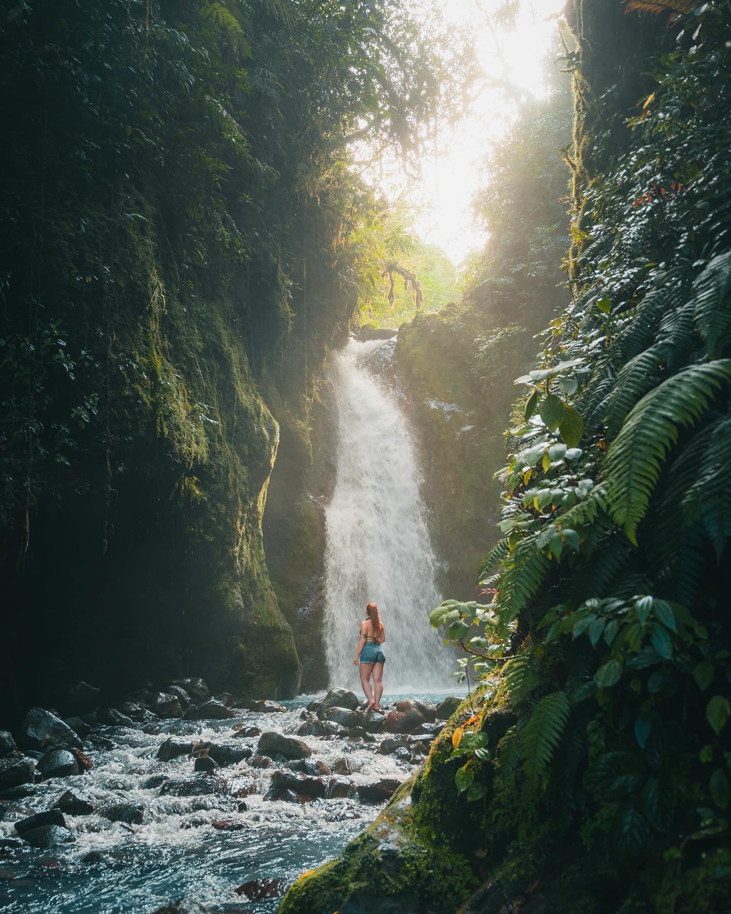 With its endless lush greens, stunning waterfalls, and diverse wildlife, Costa Rica will captivate you in a way you&rsquo;ve never experienced 🌿💦🐒

Is anyone traveling to Costa Rica this year ?! 
.
.
.
.
.
#costarica #explorecostarica #puravida #h