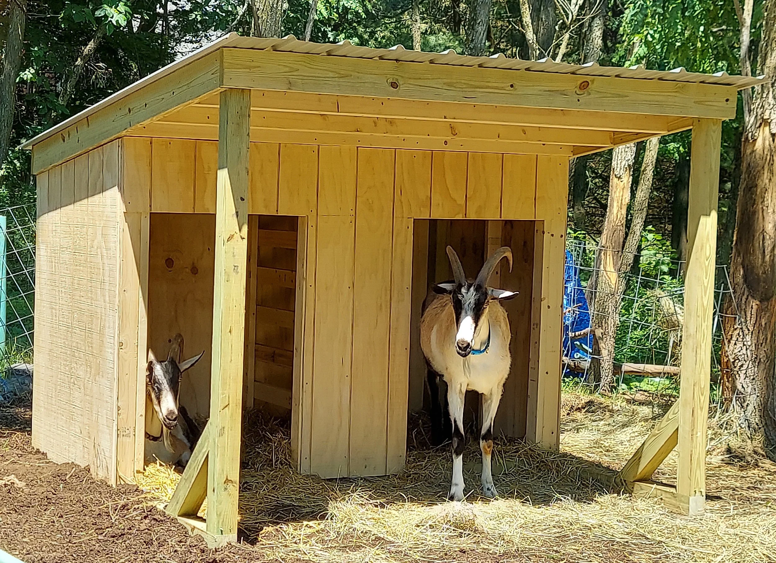 CUSTOM | Craft Your Unique Space — Glenn's Sheds