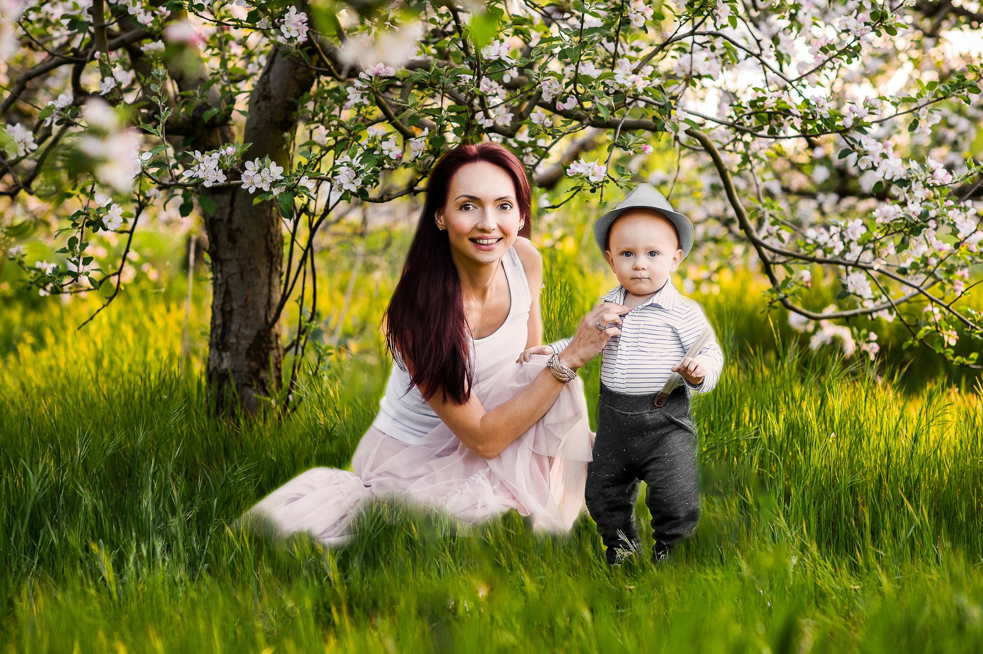 Apple Blossoms Ottawa.jpg