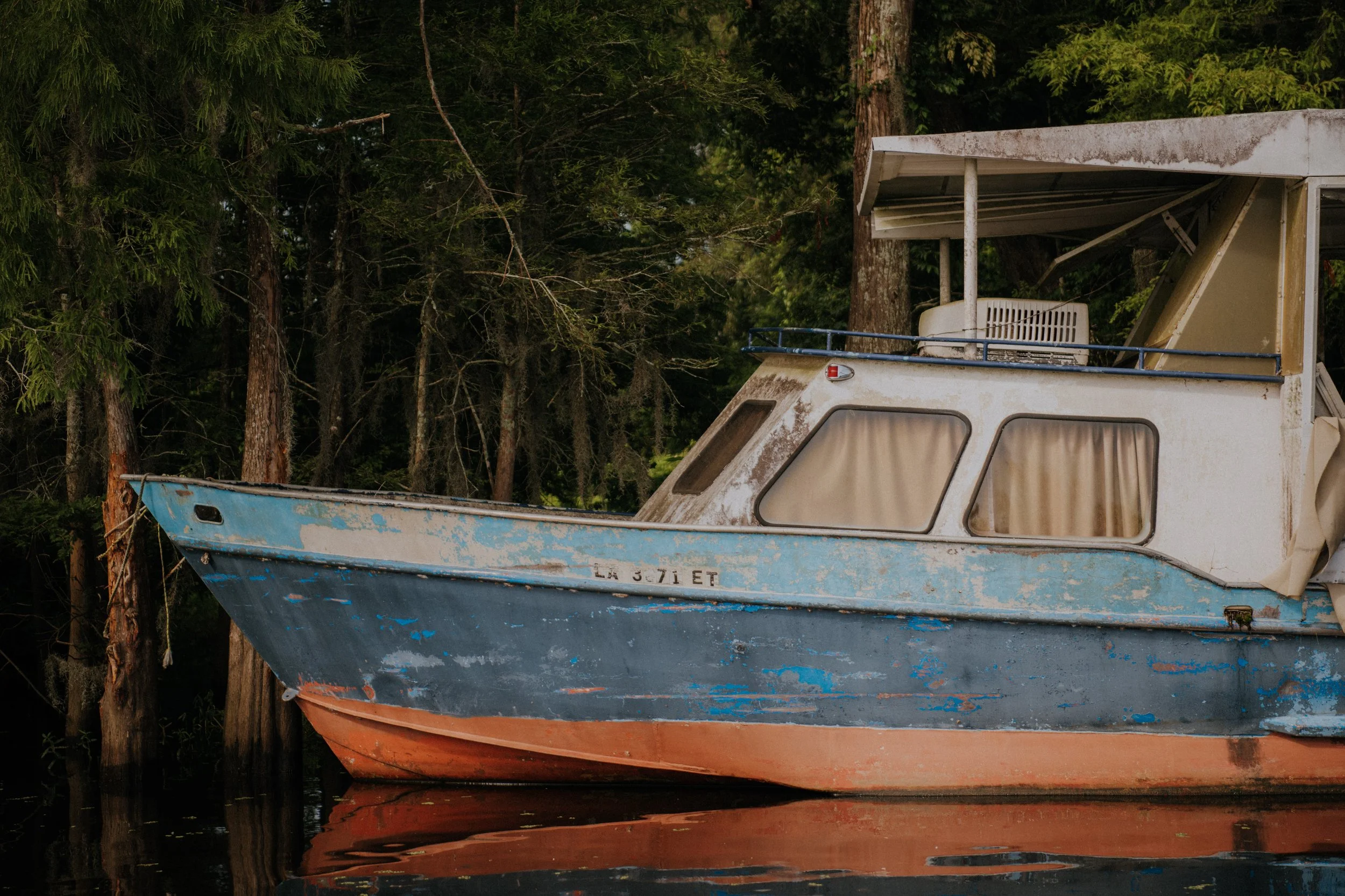 DSC_7301.jpg