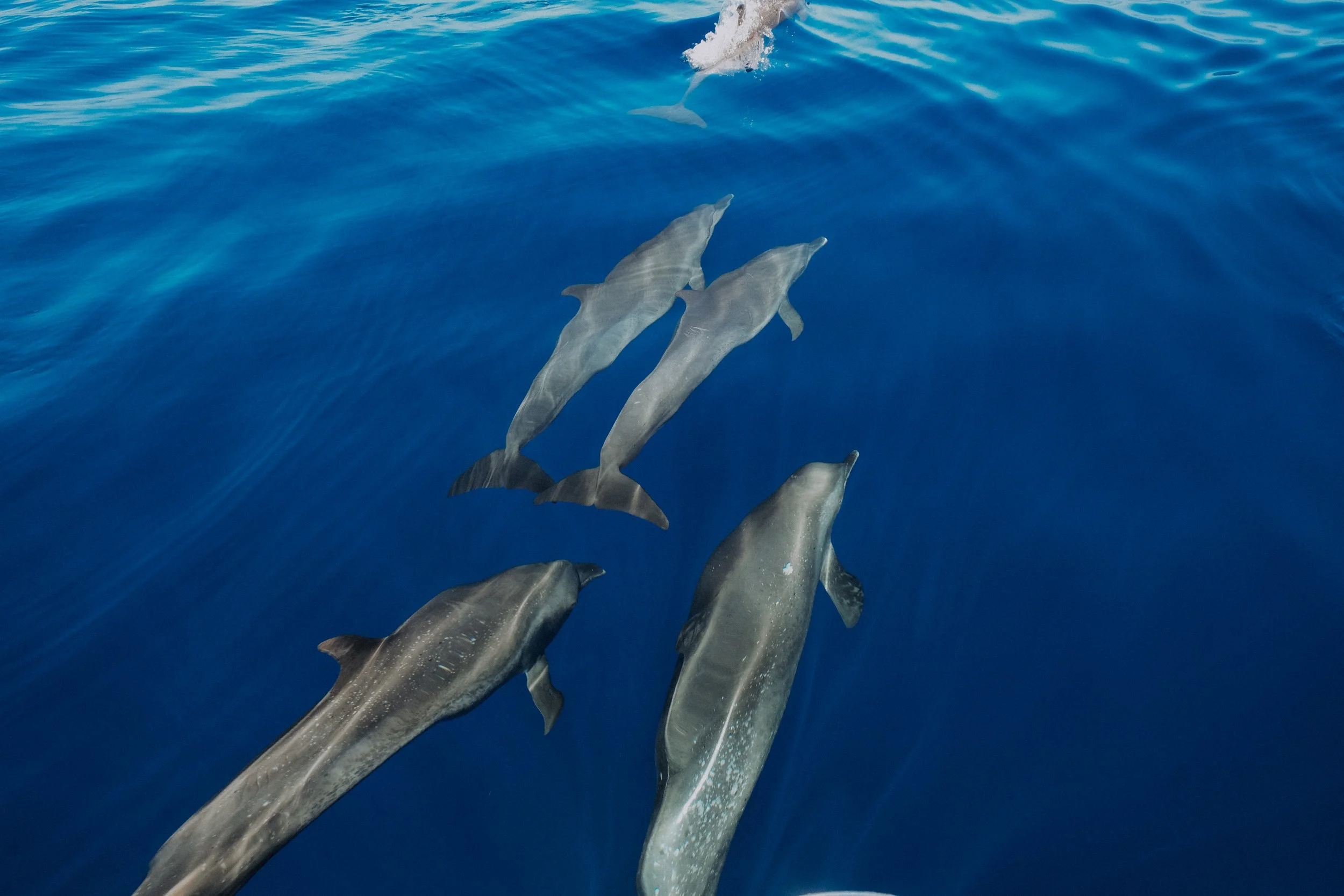 DSCF5738.jpg