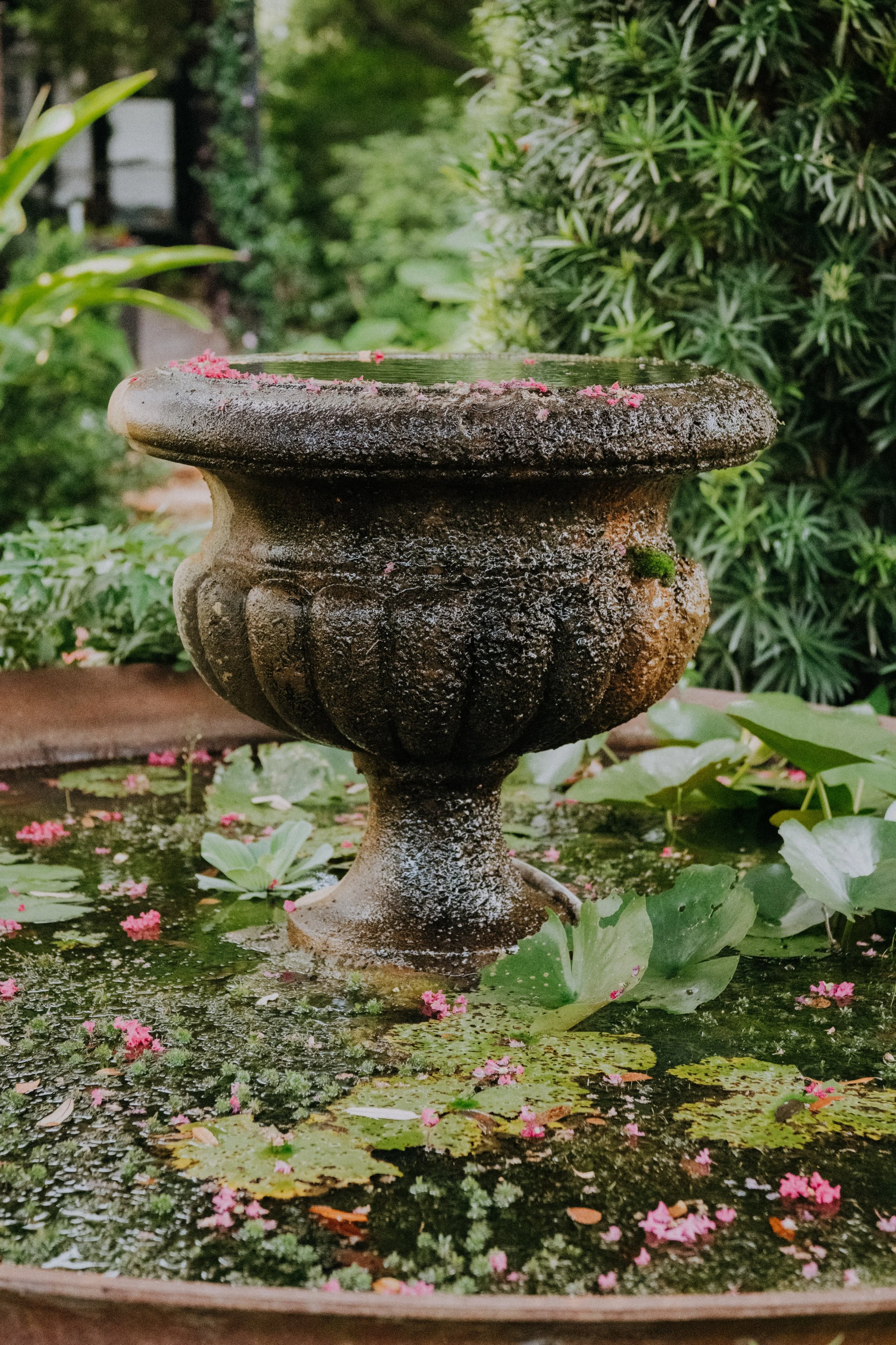 DSC_0743.jpg