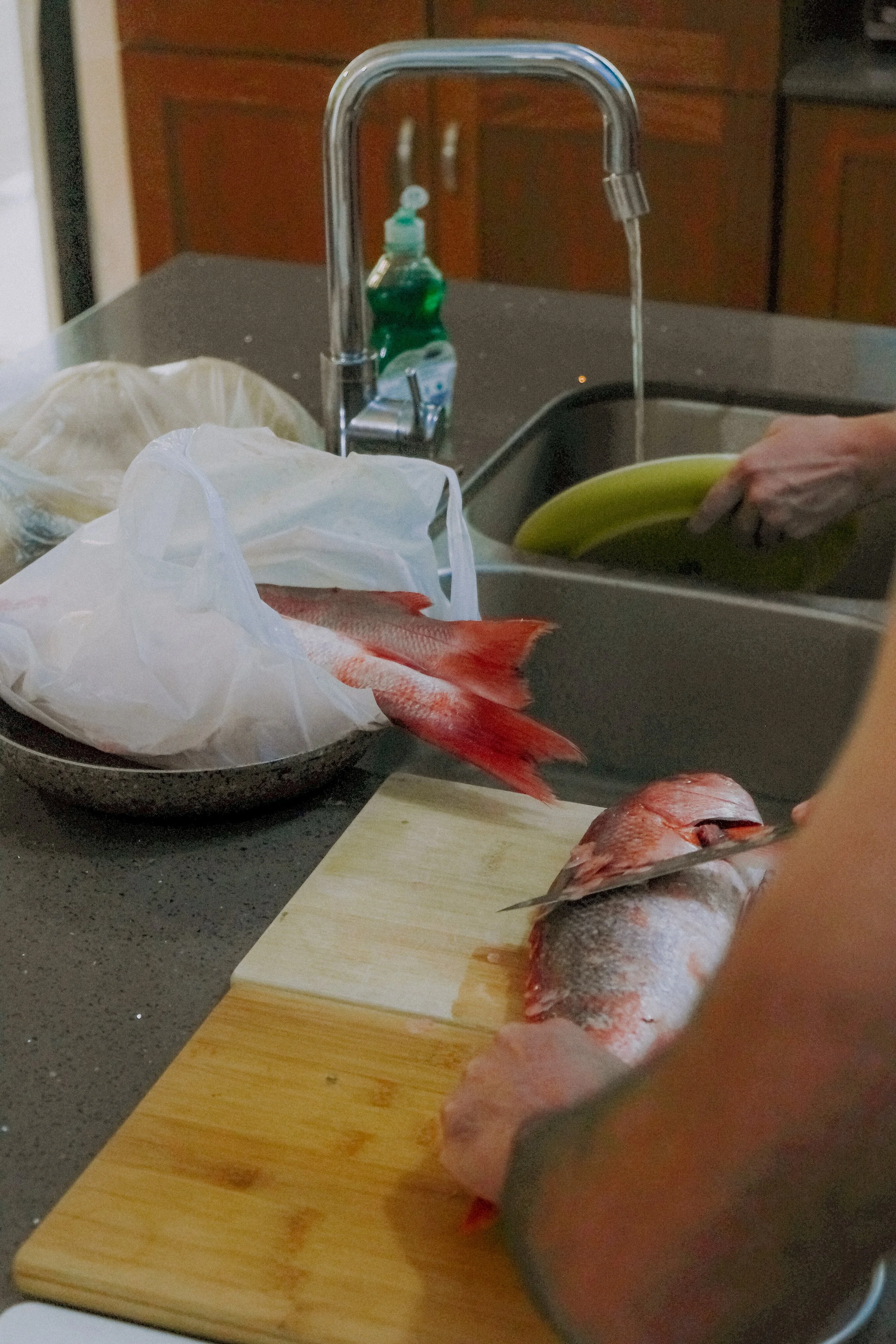 DSCF5962.jpg