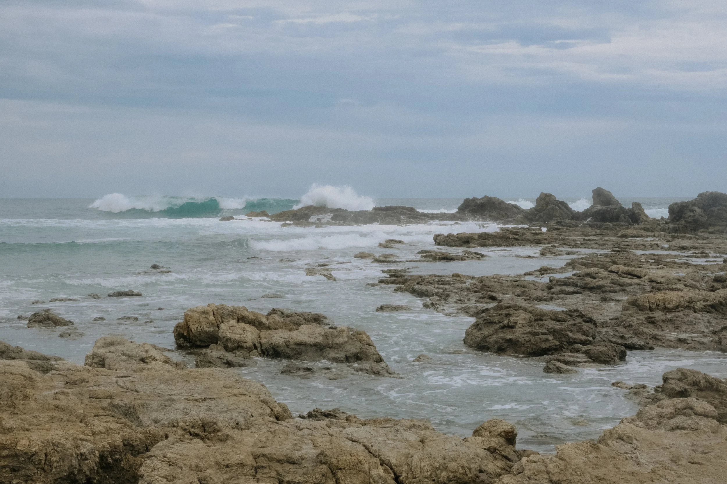 DSCF6091.jpg