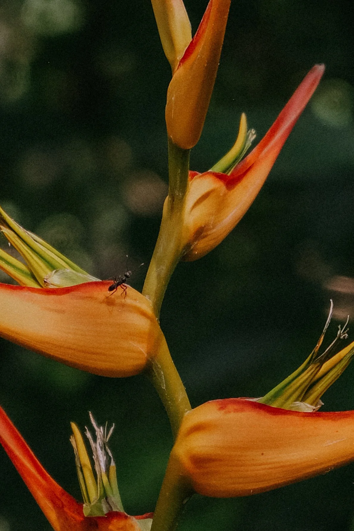 DSCF5839-2.jpg