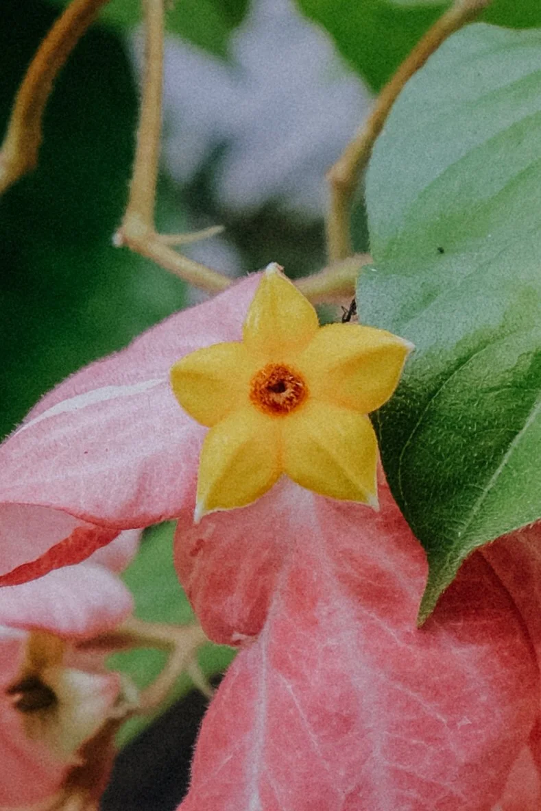 DSCF5830.jpg