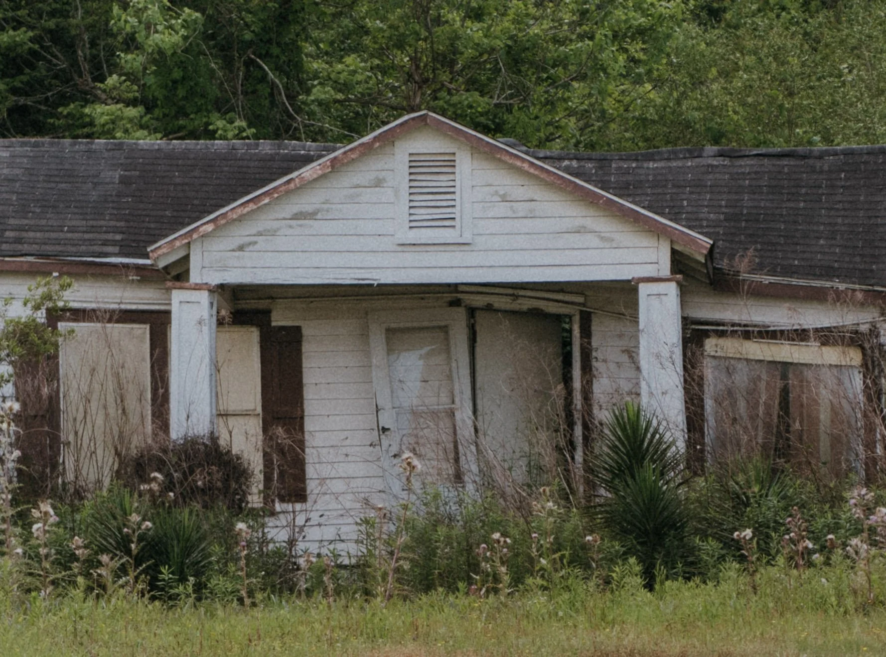 DSC_5643.jpg