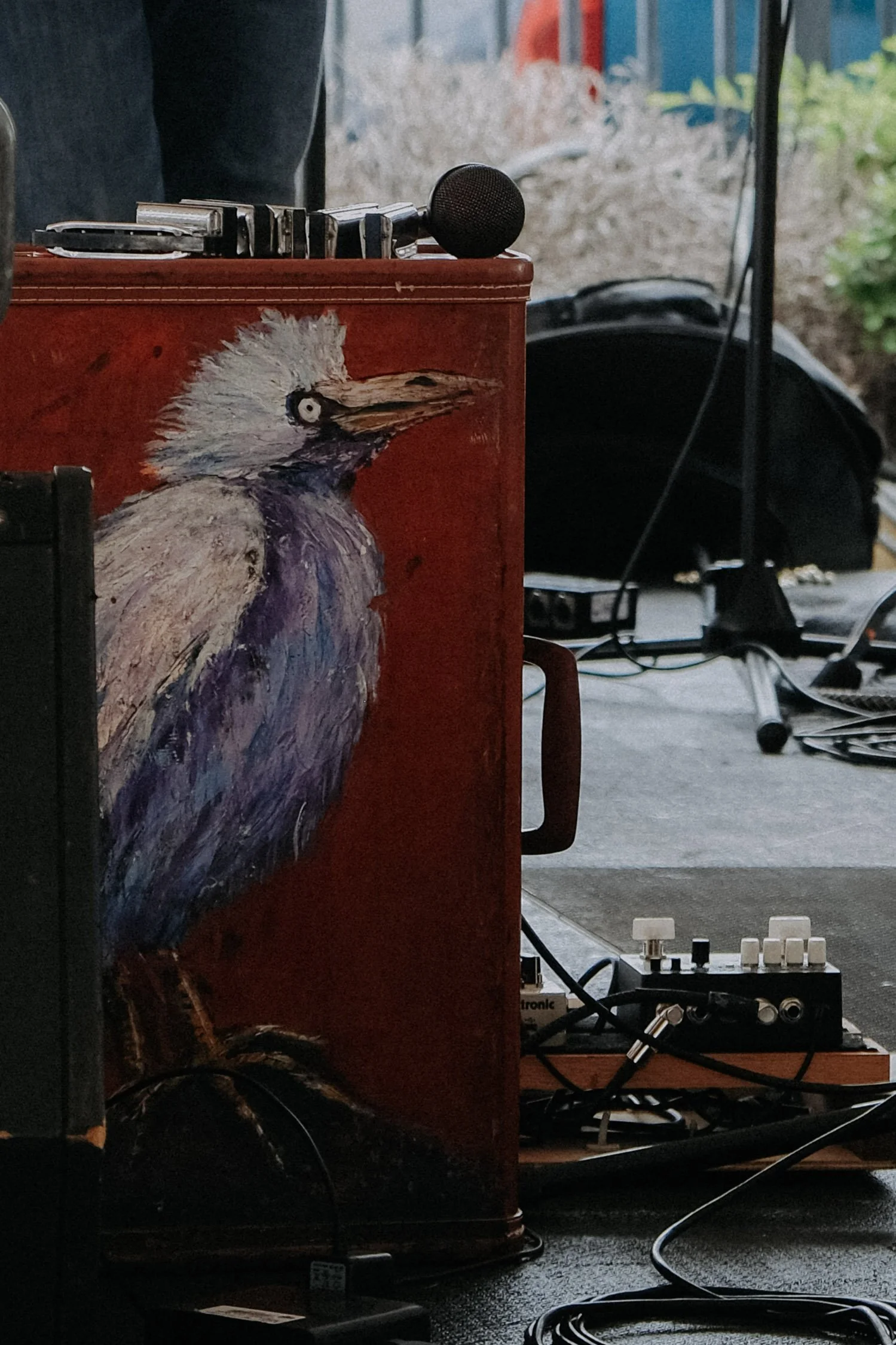DSCF4574.jpg
