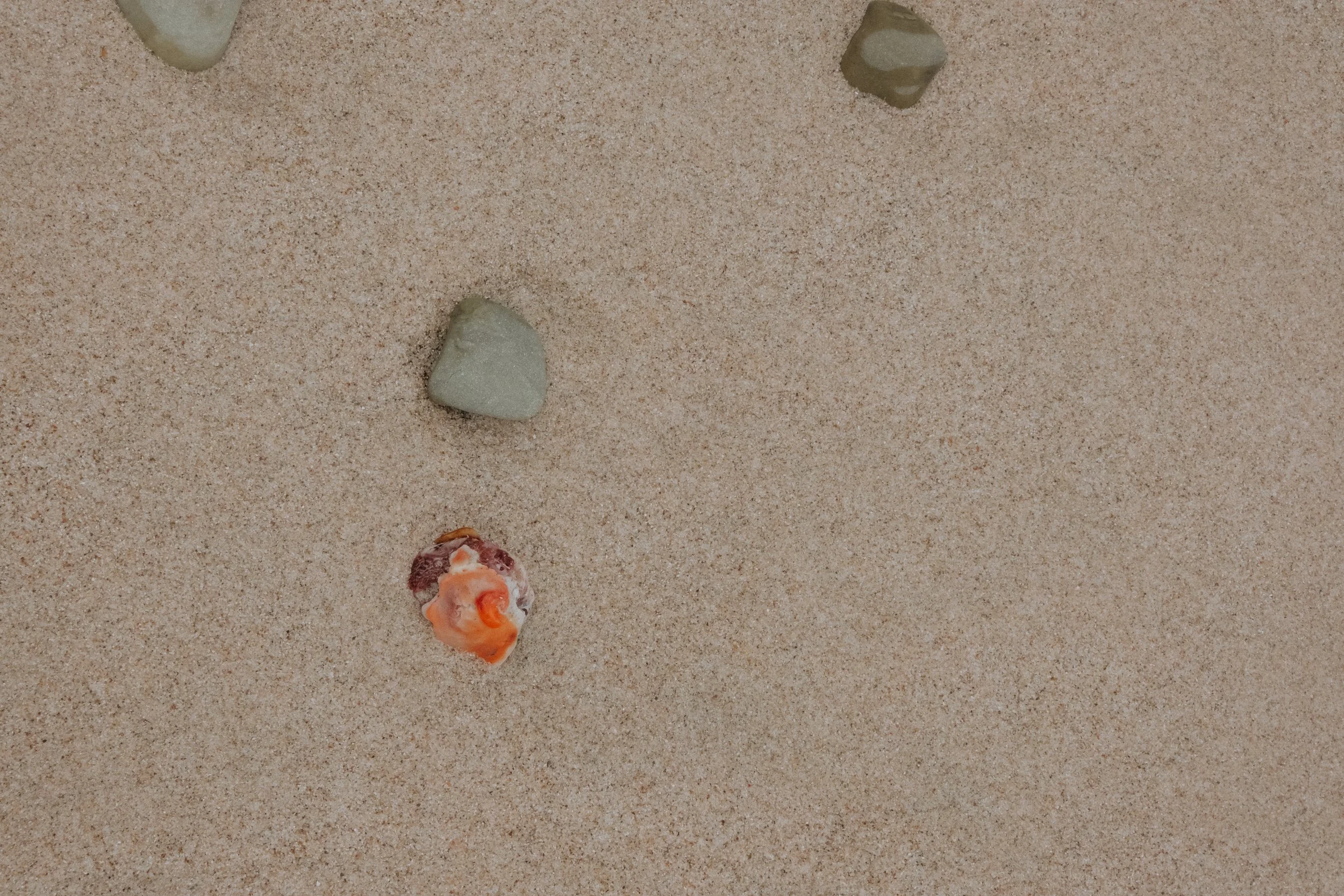 DSCF6107.jpg