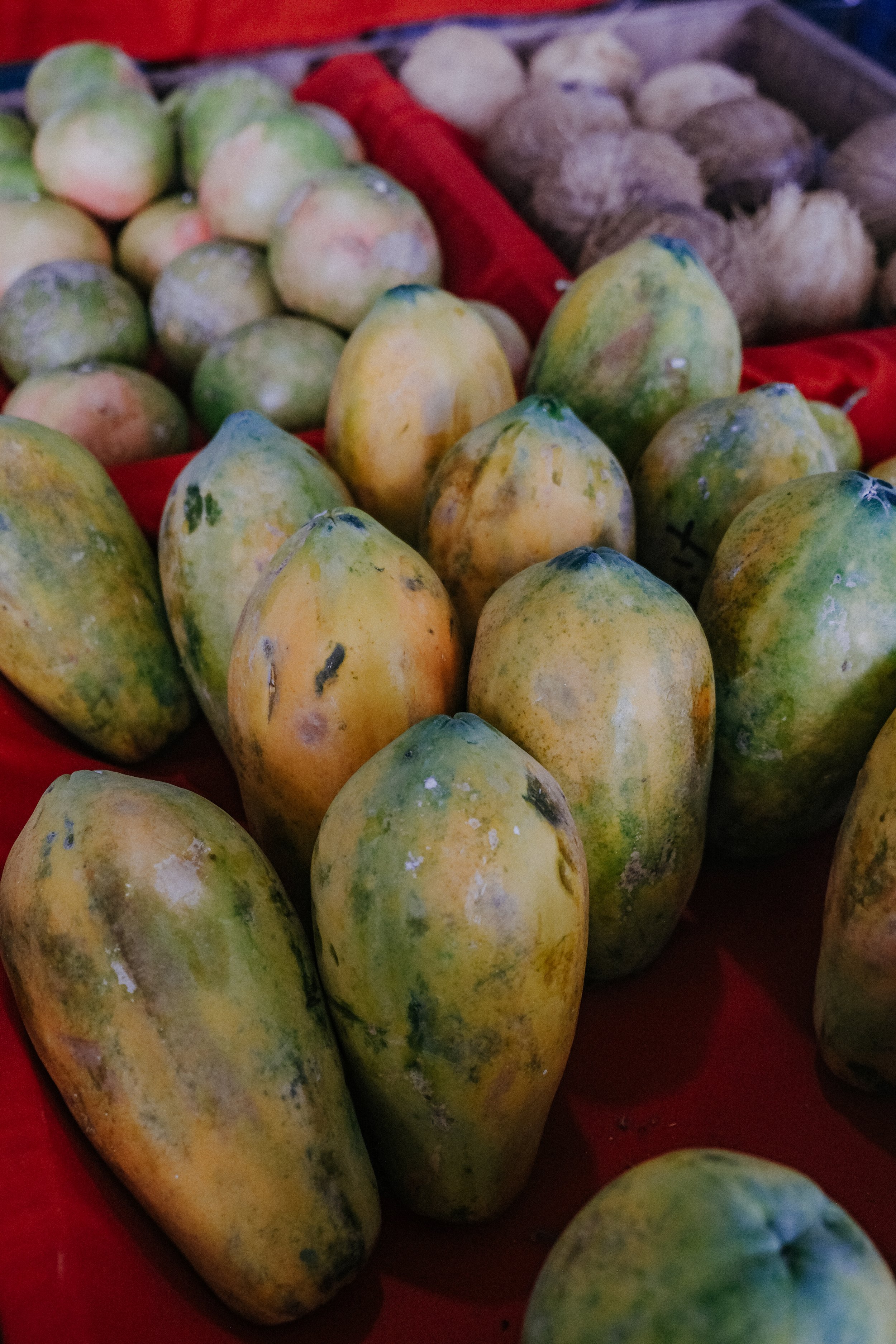 DSCF5904.jpg