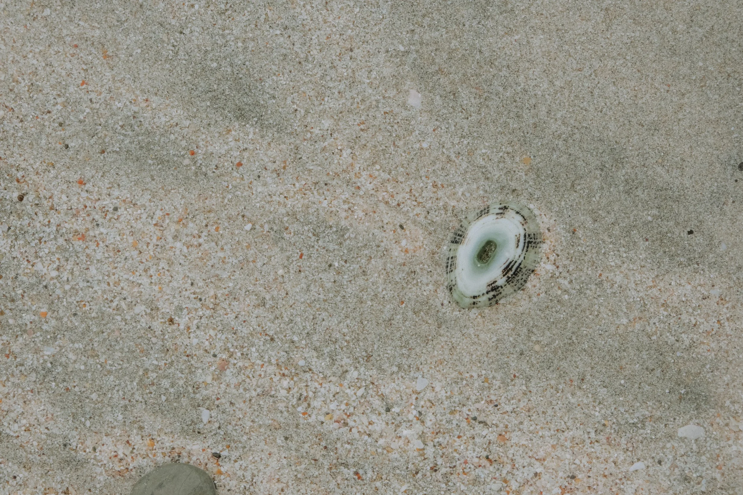 DSCF6039.jpg