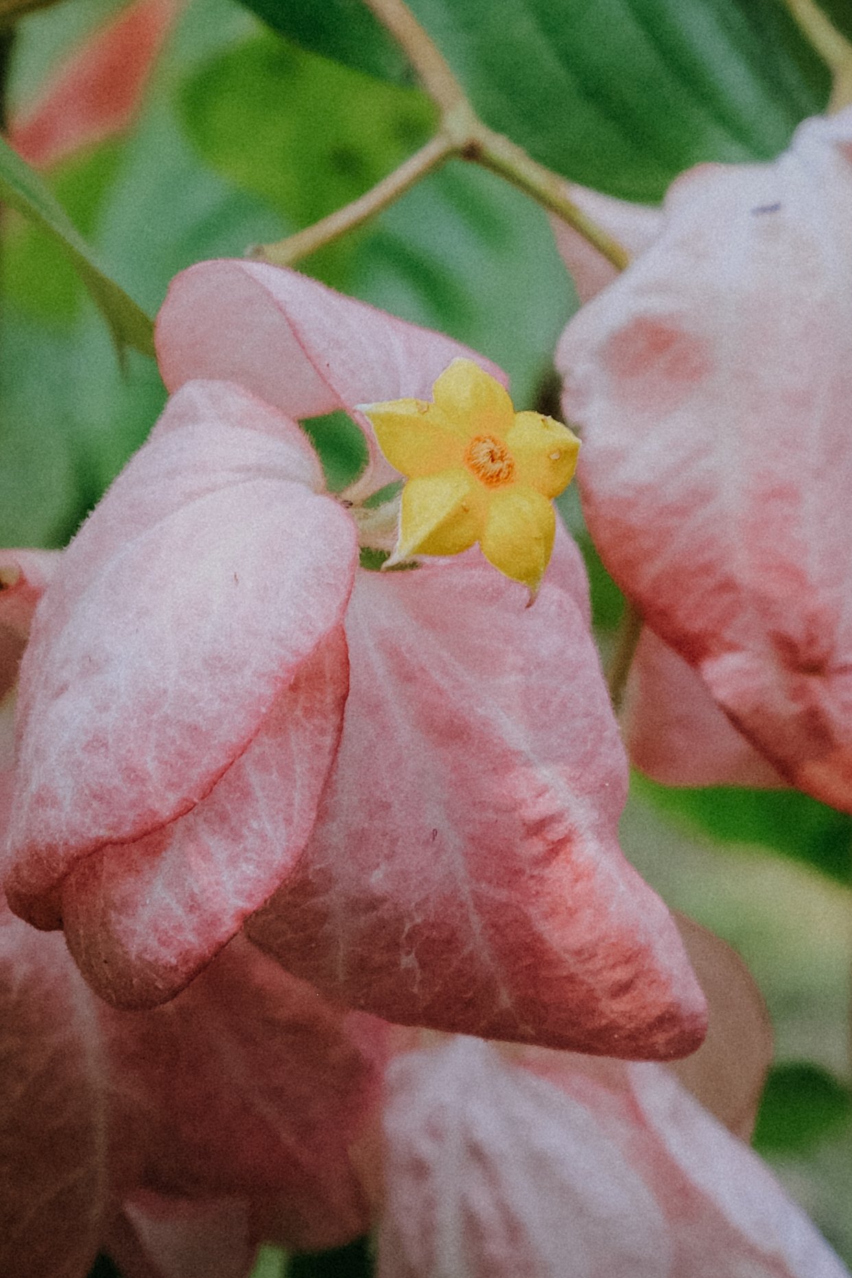 DSCF5828.jpg