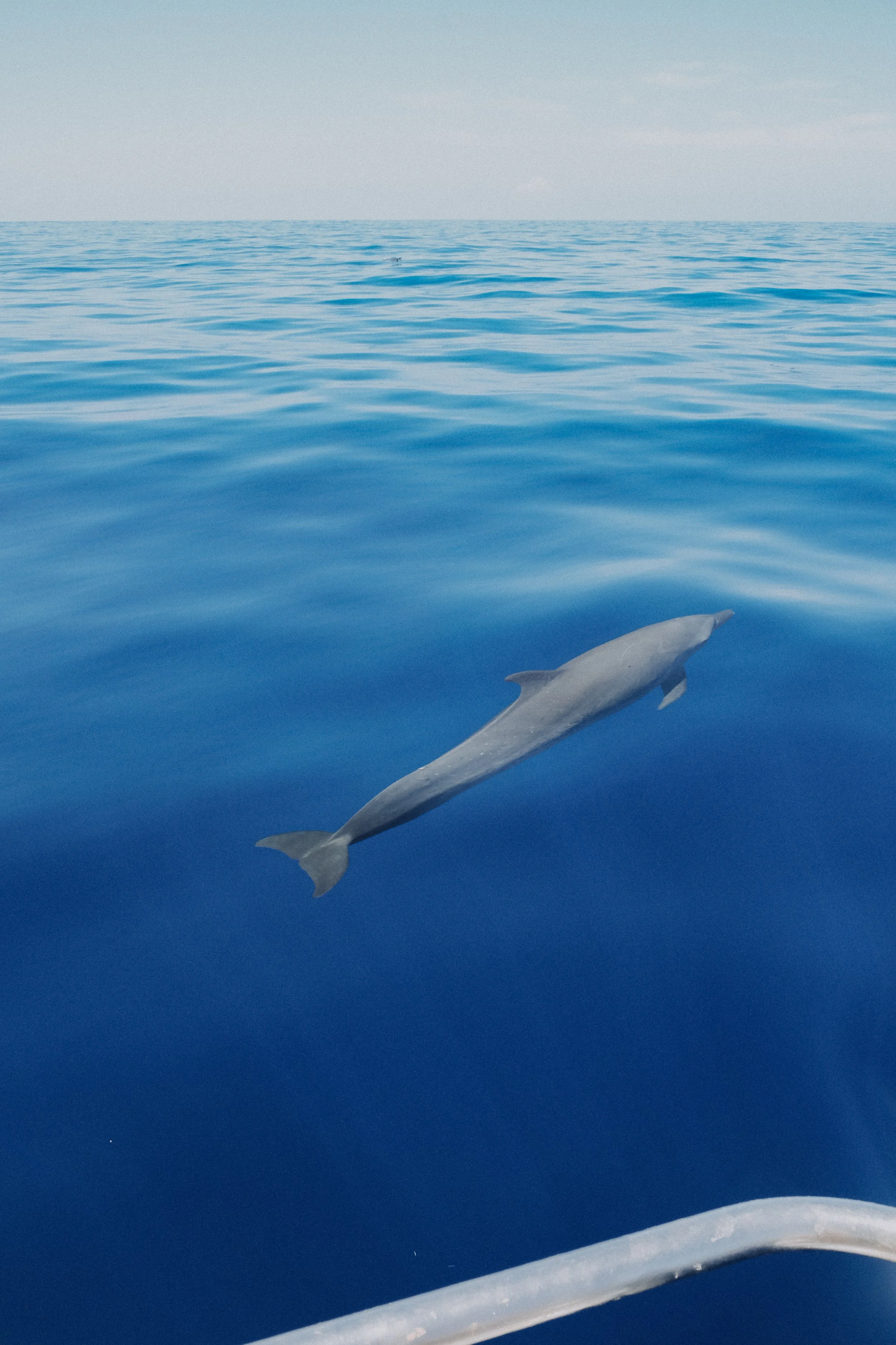 DSCF5751.jpg