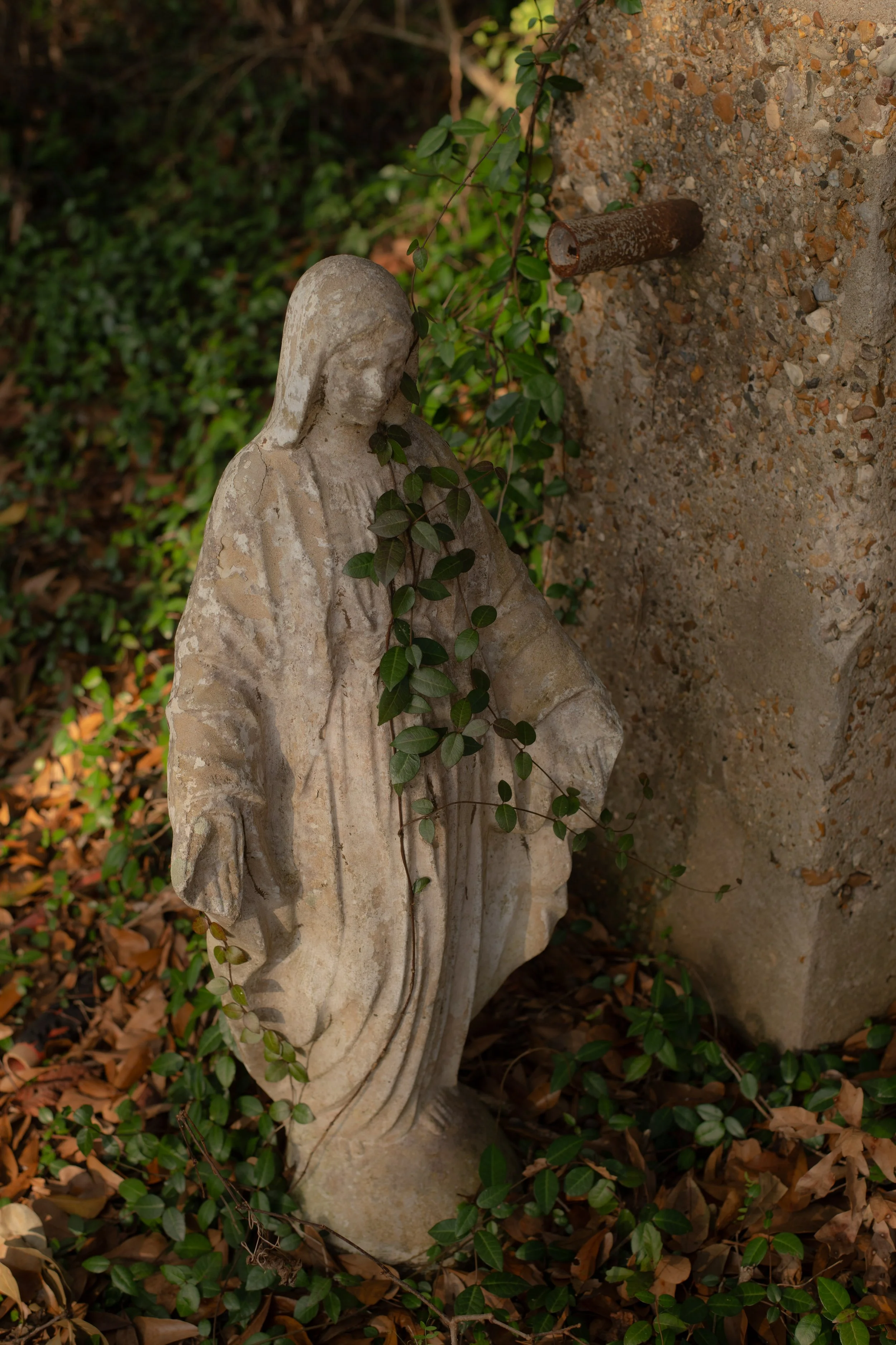 DSC_2266.jpg