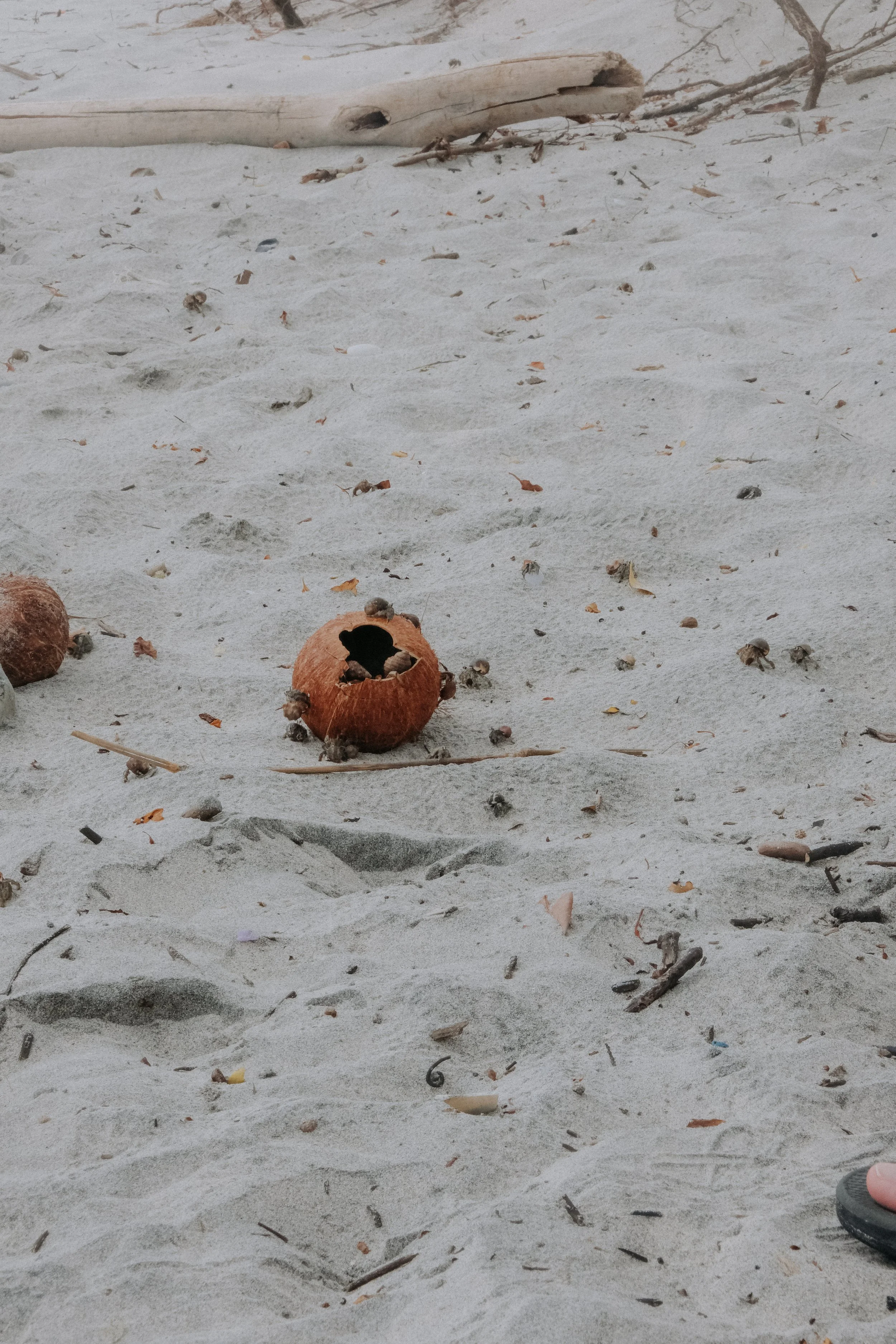 DSCF5993.jpg